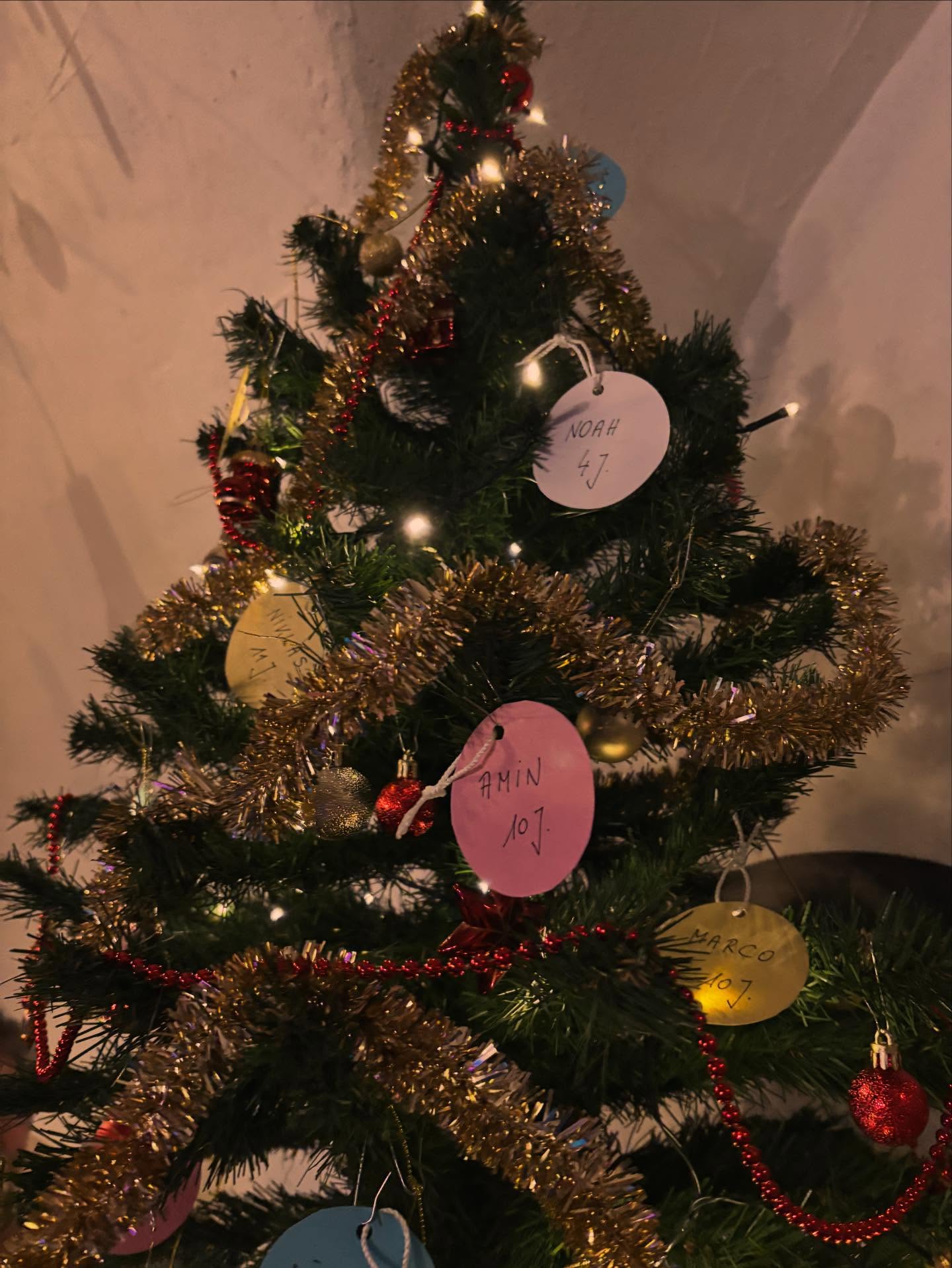 🎄Innenstadt Adventskalender Türchen 7🎄
In Kooperation mit dem JuVis Judenau werden im Sea You ab heute Kinderwünsche wahr! ♥️
Spread a Little christmas joy und erfülle dieses Weihnachten einen Herzenswunsch - als Dankeschön bekommst du dafür von uns ein Heißgetränk deiner Wahl geschenkt, inklusive Season-Specials ✨
So funktioniert’s:
- Such dir im Sea You einen Kinderwunsch vom Wunschbaum aus
- Sag unserer Crew Bescheid und trag dich in die Liste ein - ganz wichtig, damit kein Kinderwunsch unerfüllt bleibt!
- Du hast eine Woche Zeit um das Geschenk während unserer Öffnungszeiten im Sea You abzuliefern
- Als Dankeschön für deine gute Tat bekommst du von uns ein Heißgetränk deiner Wahl geschenkt und darfst dir den Brief des beschenktes Kindes als Andenken aufheben.
„Christmas will always be as long as we stand heart to heart and hand in hand“
- Dr. Seuss
#christmas #seayouintulln #adventcalendar #spreadthejoy #christmasmiracle #coffee