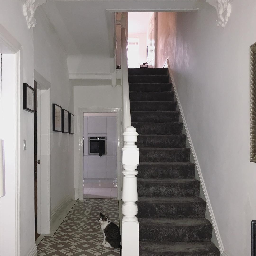 Good evening! I hope you're all having a wonderful week so far. Just a quick reminder that I am not taking any new bookings until the new year and dates are filling up fast! 🧽✨