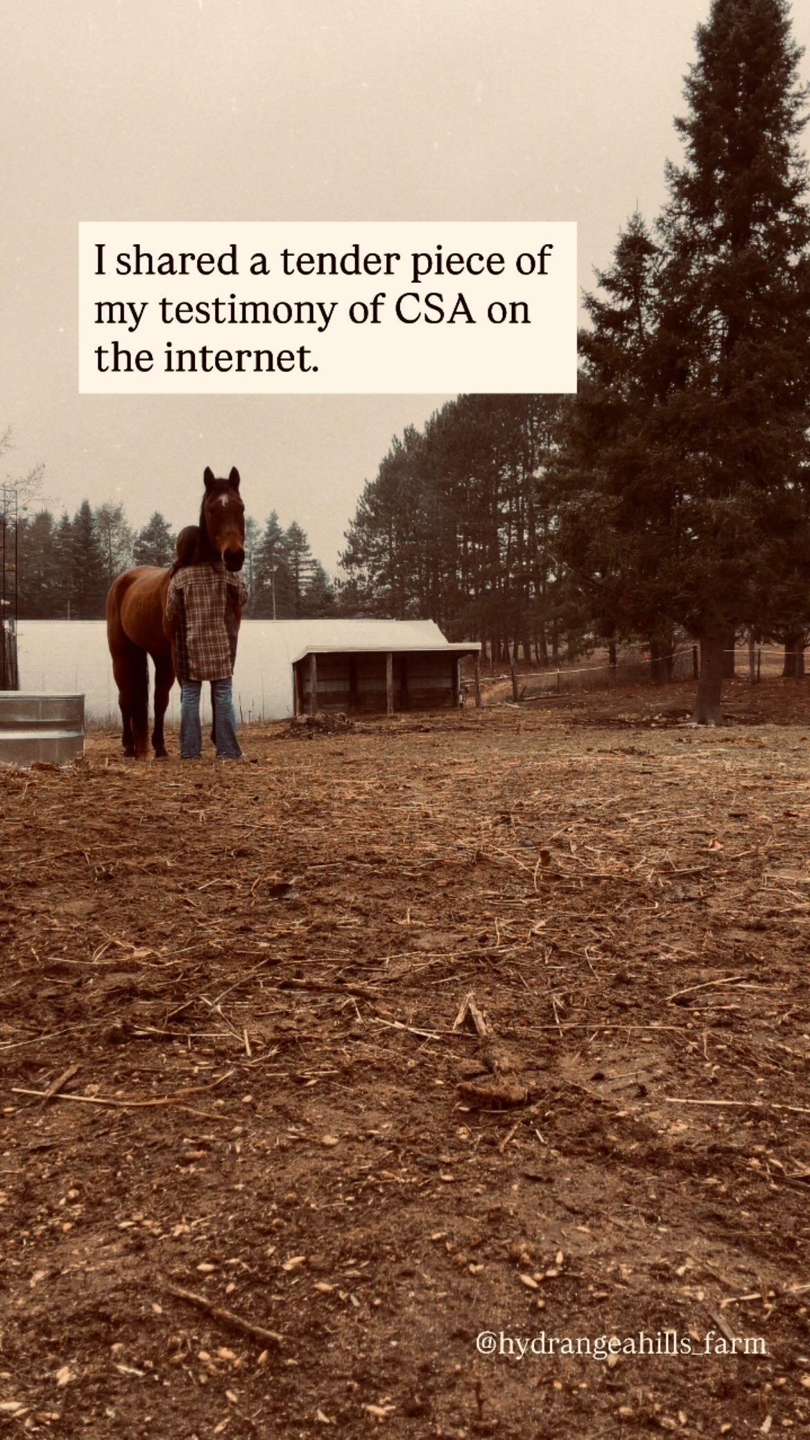 Social media wants destruction not healing-
Share my testimony and gain thousands | share my healed adult life full of dairy sheep and lose hundreds.
Healing > Aggravation
Healing:
heal•ing
noun:
The process of making or becoming sound or healthy again.
Aggravation:
ag·gra·va·tion
noun:
An intensification of a negative quality or aspect.
“that you may become blameless and harmless, children of God without fault in the midst of a crooked and perverse generation, among whom you shine as lights in the world,”
Philippians 2:15
Happy scrolling✨