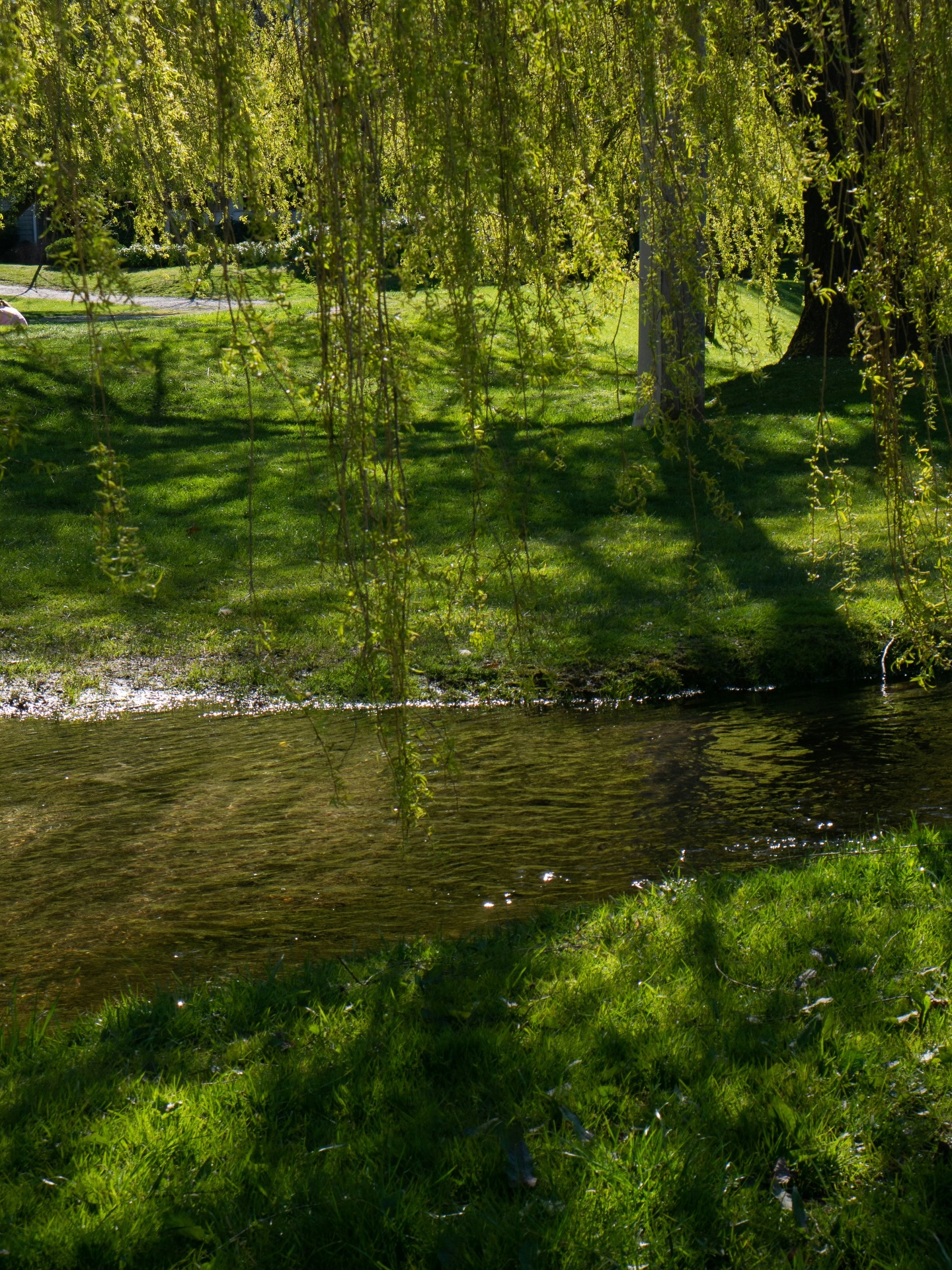 COMING SOON 🌱
#seaweedandoats #oats #seaweed #naturalskincare #baliproduct