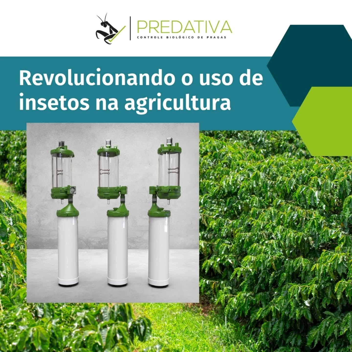 Predativa na e-Agro 2025. Venha nos visitar!
#eagro2025 #predativa