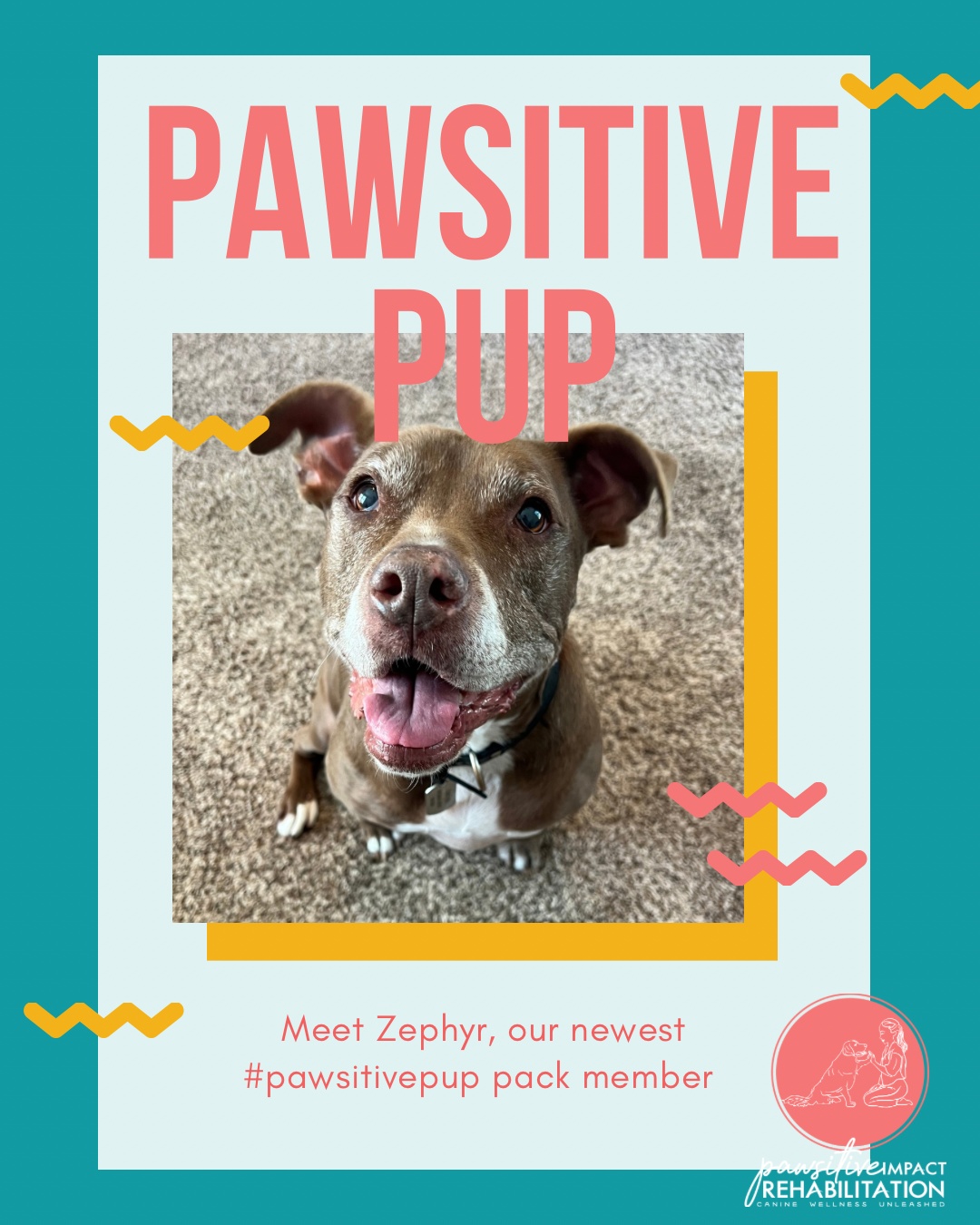 Say hello to Zephyr! 💕🐾
This very happy 10-year-old pittie baby is starting her rehab journey with us for hip and stifle (knee) arthritis. She brings the biggest smile to every session, and we’re excited to help her stay strong, comfortable, and moving with joy. ✨💪