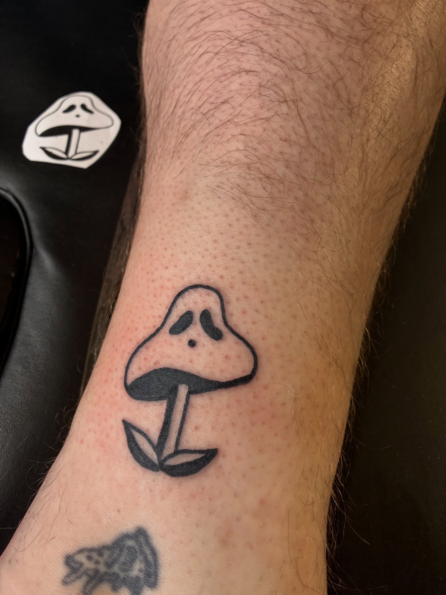 Lil mushie guy from my flash! Thanks for claiming the fungi!
#mushroom #cottagecore #tattoos
Made @tygerwolftattoo
