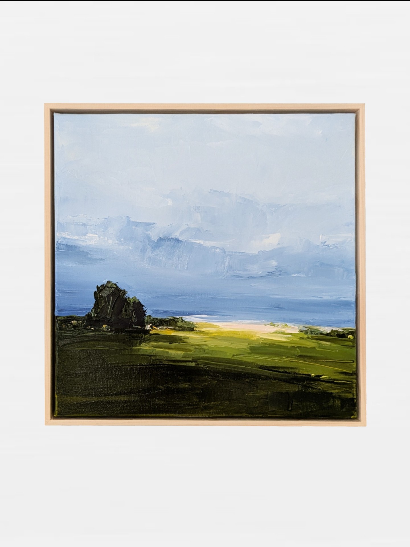Cloud Watching I 16 x 16
I keep returning to this color palette - there's something so viscerally summery about that touch of pink against bright greens and blues. I did this piece last summer, but there's something fun about revisiting memories and feelings of warmth during the short, dark days around the solstice.
