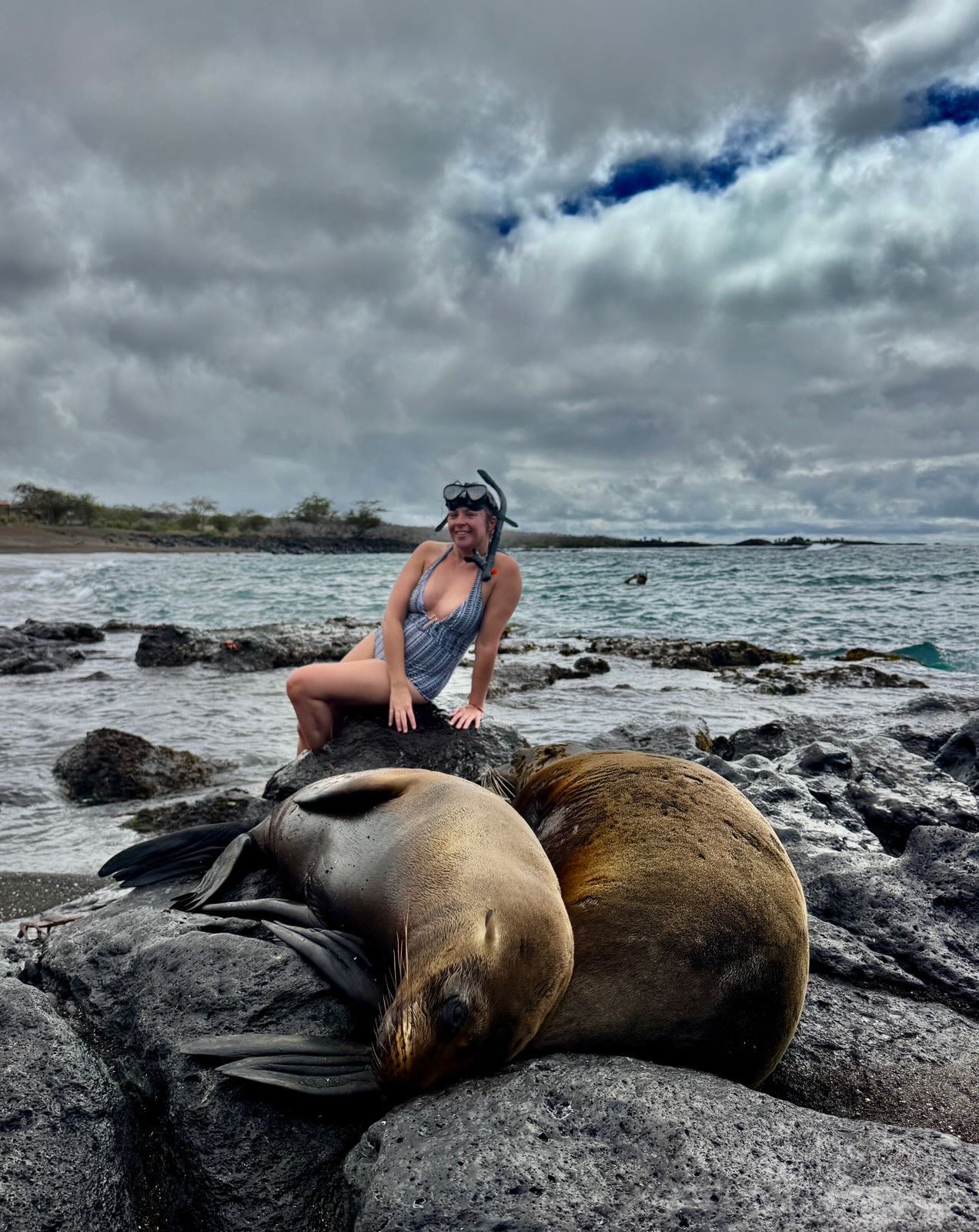 Beautiful galapagos wildlife.