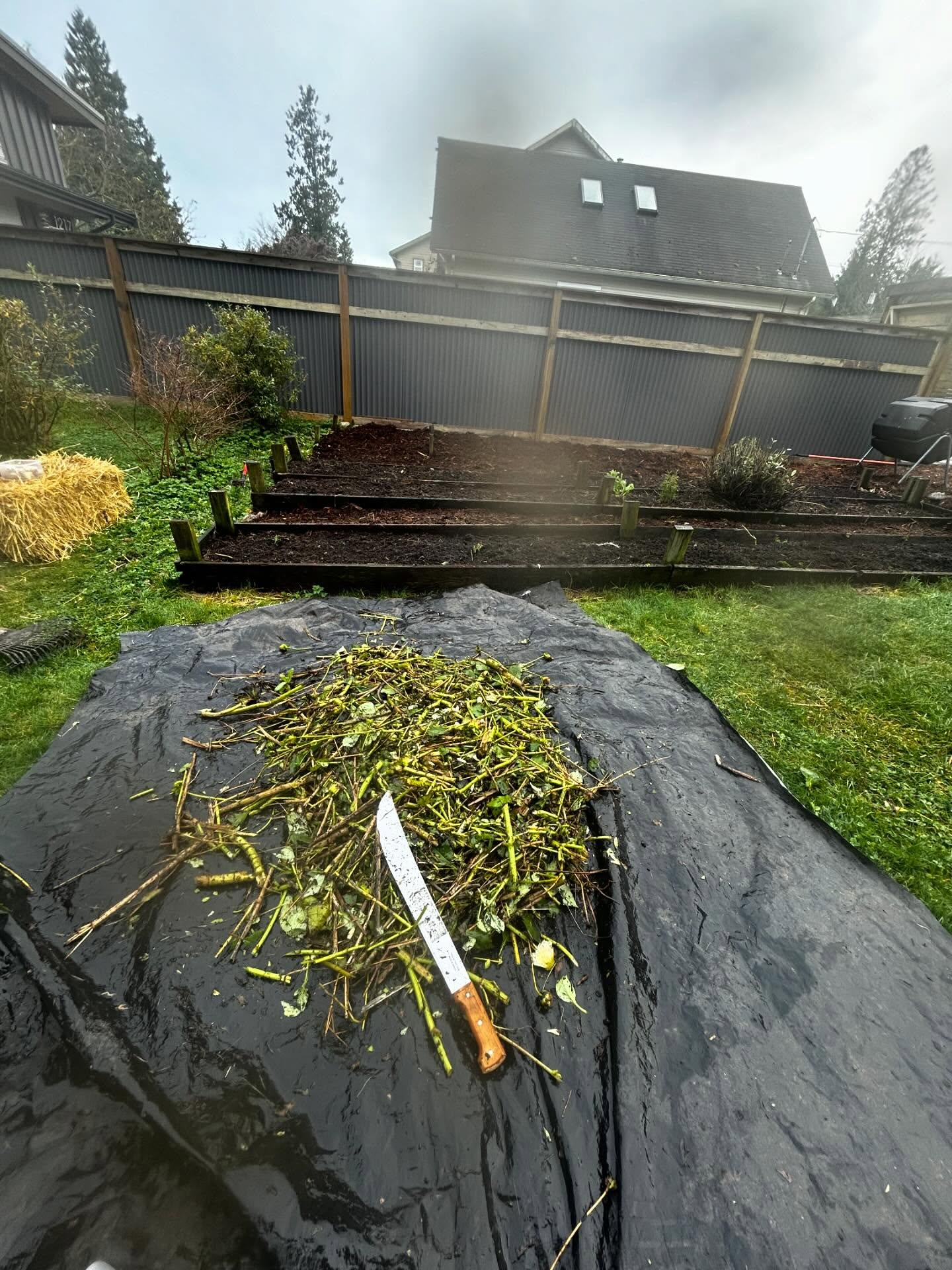 Chopping plant stalks with a machete and returning them to the living soil has to be one of the funnest ways to be ecologically sensitive. Also, I found a great local straw dealer today! @sunshinehayco
