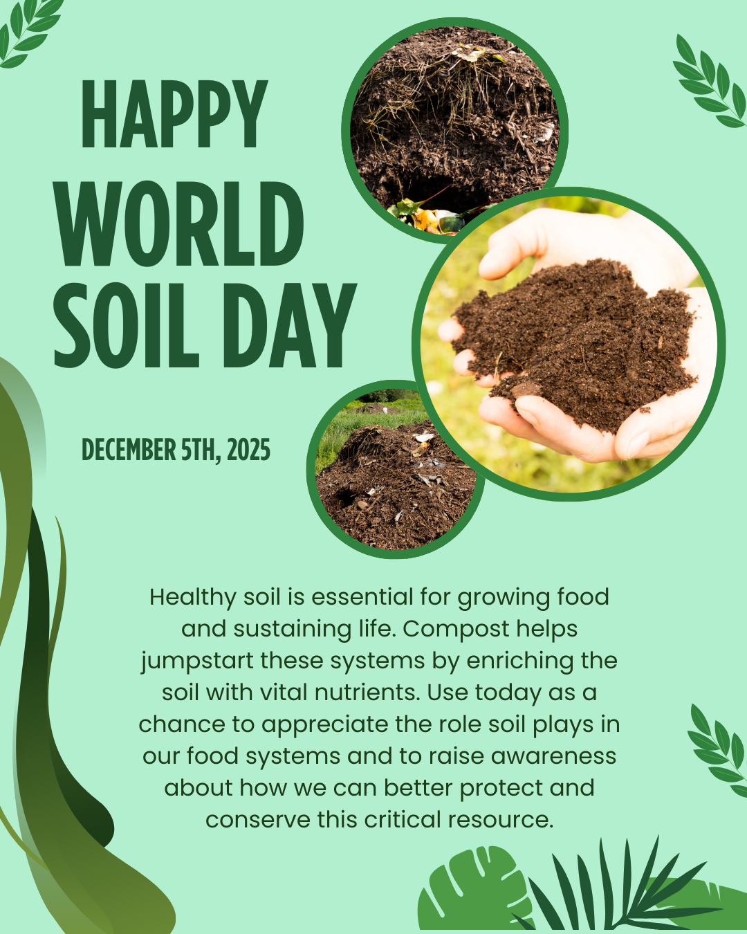 Let’s take a moment to celebrate the unsung hero beneath our feet — soil!
Happy World Soil Day 🌱
Today is all about recognizing why soil is such a valuable resource and raising awareness about the need to protect and conserve it. PCC loves soil so much that we put together a few quick facts to show why it matters more than you think!