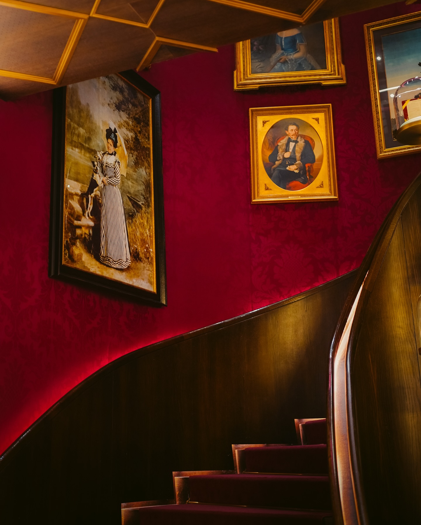 Old streets, winter light, horses passing by, and a vintage camera in my hand.
#vienna felt like a quiet movie scene I didn’t want to rush through.
.
#vienna🇦🇹 #vhscam