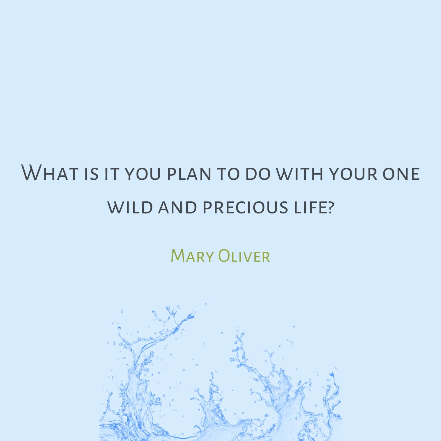 Not in a demanding way… but in a contemplative way.
We get to examine what feels genuine now, not what once was.
Each season reveals new perspectives.
#maryoliver #soulquestions #innerwisdom #blueaesthetic #reflectivequotes #spiritualgrowth #jemcommunity #youareajem #jemormilo #jem