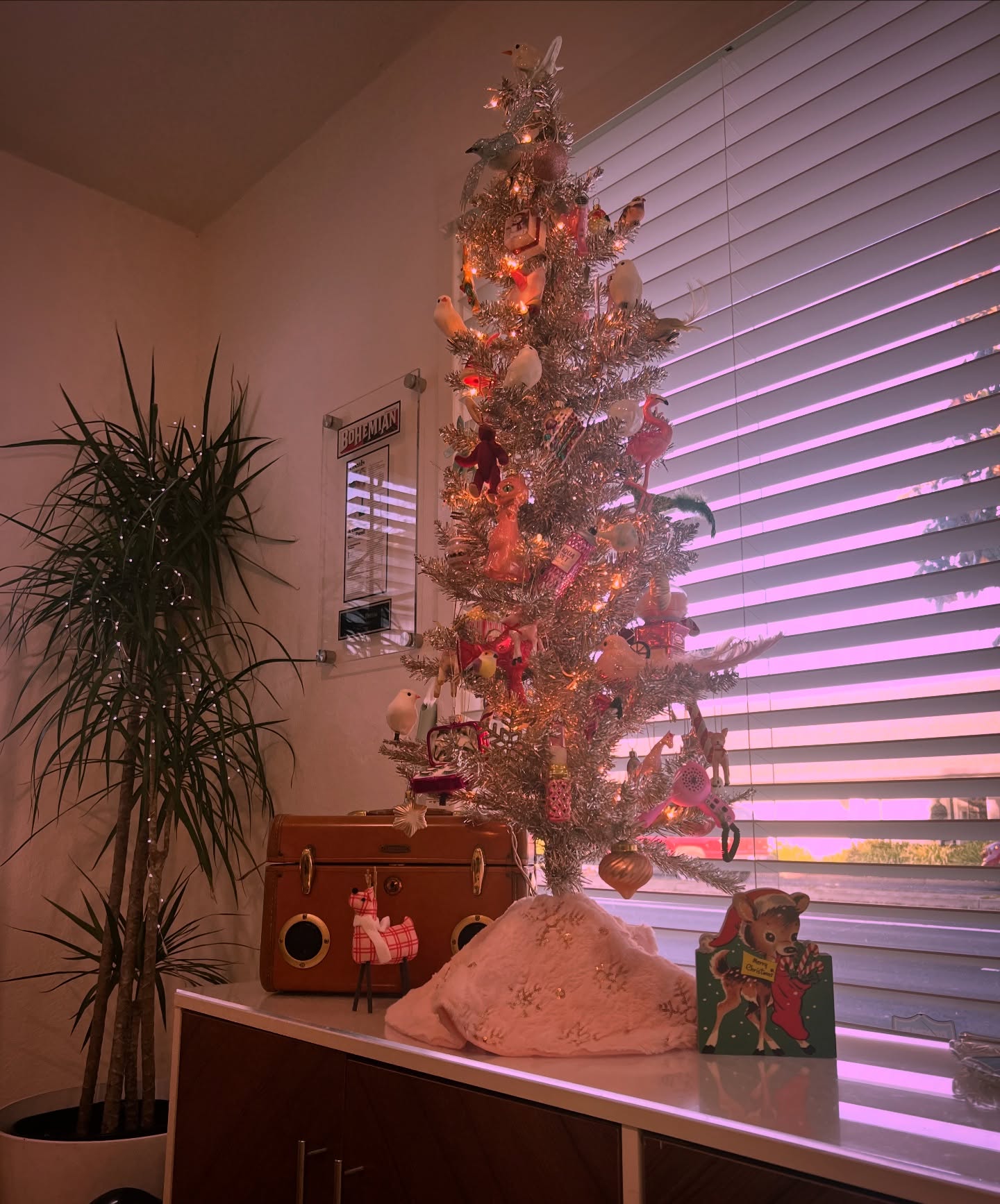The tree is up, the lights are twinkling
.
Must be Christmas time 🌲
.
.
#hairbybettina #sonomacounty #santarosasalon #xmastree
