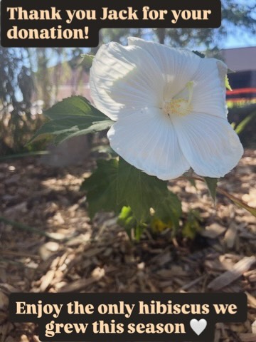 Thanks to Jack and Margaret who donated for our annual ask this December through @coloradogivesfoundation @swcogives
🌸🪻🌻💐🥀🌺🌼🌷🪷🌹
Special thanks to Jack Burk who donates every month and has supported the work we do for many years!
If you want an online bouquet and shout out YOU KNOW WHAT TO DO!
🍐🍎🥦🫑🌶️🥒🌽🥬🍏🥔
Donate any amount through our website or link in bio and check Instagram and Facebook for your virtual gift 🎁
#mstfp #lettuceturnipthebeet #schooltofarm #thankful #thanksgiving #coloradogives #givingtuesday #donations #farmtoschoolmonth #gardenclass #experiential_learning