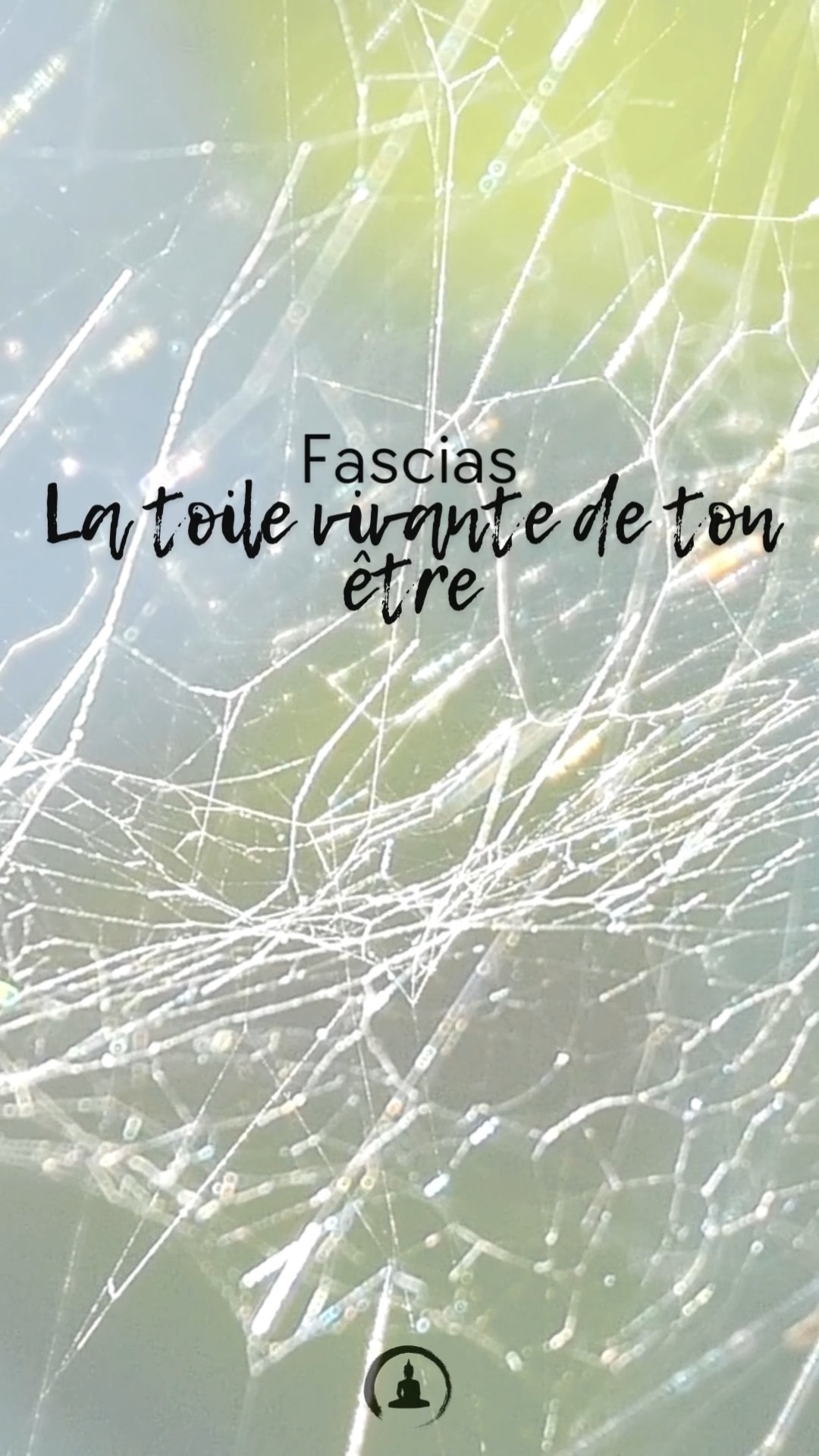 🌿 Découvrez la Médecine Chinoise avec Serge Romanato ! 🌿
Besoin de rééquilibrer votre énergie, soulager vos tensions ou améliorer votre bien-être ? ✨
📍 Cabinet Zen Garden - Carouge
🔹 Acupuncture | Fasciathérapie | Thérapies énergétiques
🔹 Approche holistique pour harmoniser corps & esprit
🔹 Prenez soin de votre santé naturellement
📲 RDV & infos sur 👉 www.cabinet-zengarden.org
💬 Vous avez déjà essayé la Médecine Chinoise ?
Dites-moi en commentaire ! ⬇️
#MédecineChinoise #Acupuncture #Fasciathérapie #BienÊtreNaturel #ZenGarden #Carouge #essentialsoils #ÉnergieVitale #tao #cieletterre