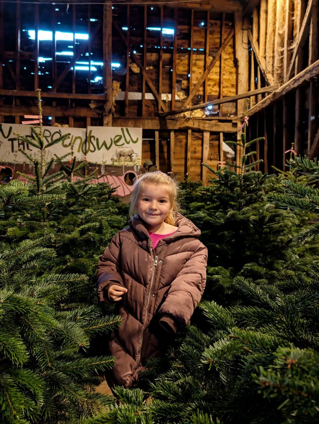 🎄 A huge thank you to everyone who came to the Lannock Winter Market today! ❄️
You braved the cold for gelato (our kind of people ❤️) and got your Christmas Gelato orders in nice and early!
⏰ Final call: our online Christmas orders close tonight!
👉 www.fabgelato.com/shop