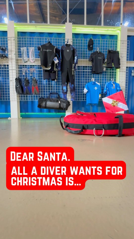 Dear Santa, my dive buddy says I’m on the nice list. 🎅😌 Please keep some room on your sleigh 🛷✨
Gear + courses at @divetribedubai
Featuring:
@apeksdiving
@teclinediving
@fourthelementdive
@aqualungdivers and of course,
@paditv
#DivingChristmas #GiftOfDiving #ScubaSanta #DearSanta #DiveWishlist #UnderwaterChristmas #SeaSonsGreetings #AllIWantForChristmasIsDiving #ScubaGear #DiveCourses #FinsUpForChristmas