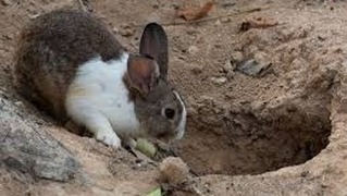 Have you gone down the new I.B.M. website rabbit hole yet? There is a TON of new videos, tricks and interviews to explore. What are you waiting for?
https://www.magician.org/