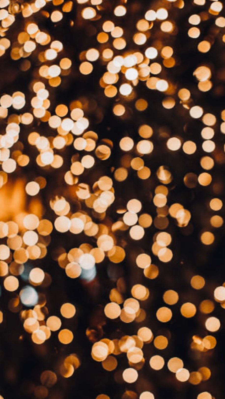 Wishing our Brighton community a very Merry Christmas.
Thank you for your continued support this year — we are truly grateful for each and every one of you.
Your loyalty, kindness and trust mean more to us than words can express.
With much love,
Michael & The Brighton team