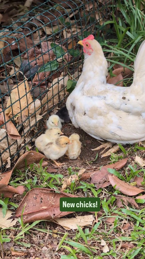 The circle of life ❣️