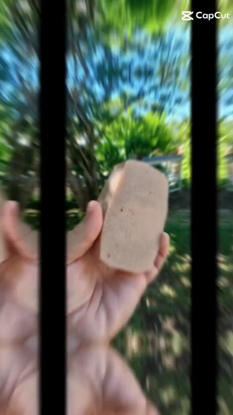 😍🌿𝐎𝐧 𝐬𝐞 𝐯𝐨𝐢𝐭 𝐪𝐮𝐚𝐧𝐝 ?🌿😍
😍🧼🧼 Les marchés du week end : 🥰
🌴☀Retrouvez les savons naturels Baebao ce vendredi pour le personnel du médipole et samedi pour le marché spécial noël de Port Plaisance, avec plusieurs activités à partager en famille !🥰
👉Les savons au niaouli ou au roucou reviennent, ceux au curcuma aussi, les crèmes au mitché, les déodorants à l'ylang ylang (de rivière salée!), les coffrets cadeaux peint à la main (la mienne) et des bocaux savonnés à petits prix !!
🍃Baebao prend soin de votre peau pendant et après la douche💚
Tout savoir sur les savons 👉 https://www.baebao.com
#baebaolesavonquiltefaut
📷une partie de la gamme savonnée !