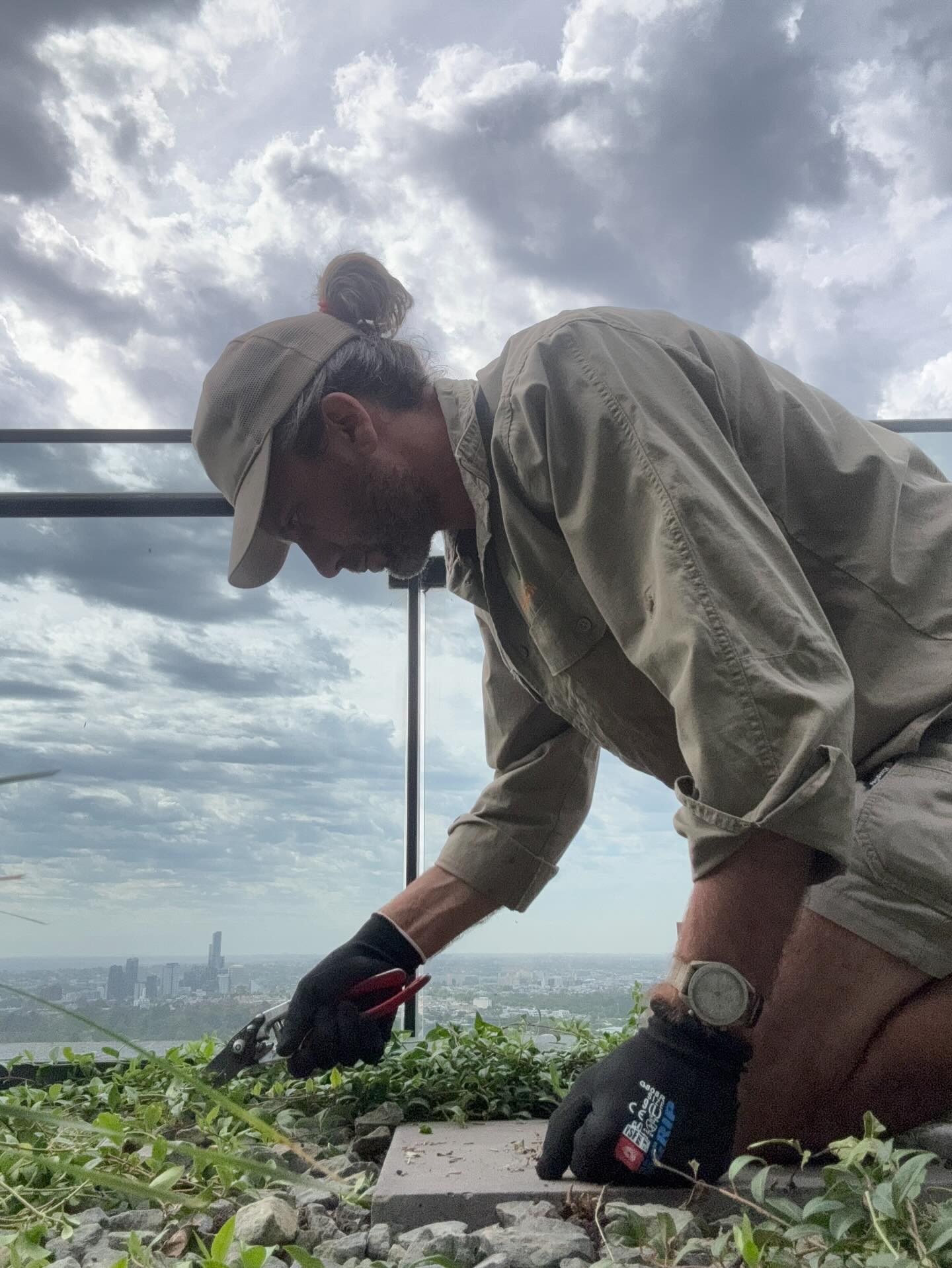 A stunning day gardening up on the 41st floor š±šļø. #melbourne #gardenmaintenance #rooftopgardening