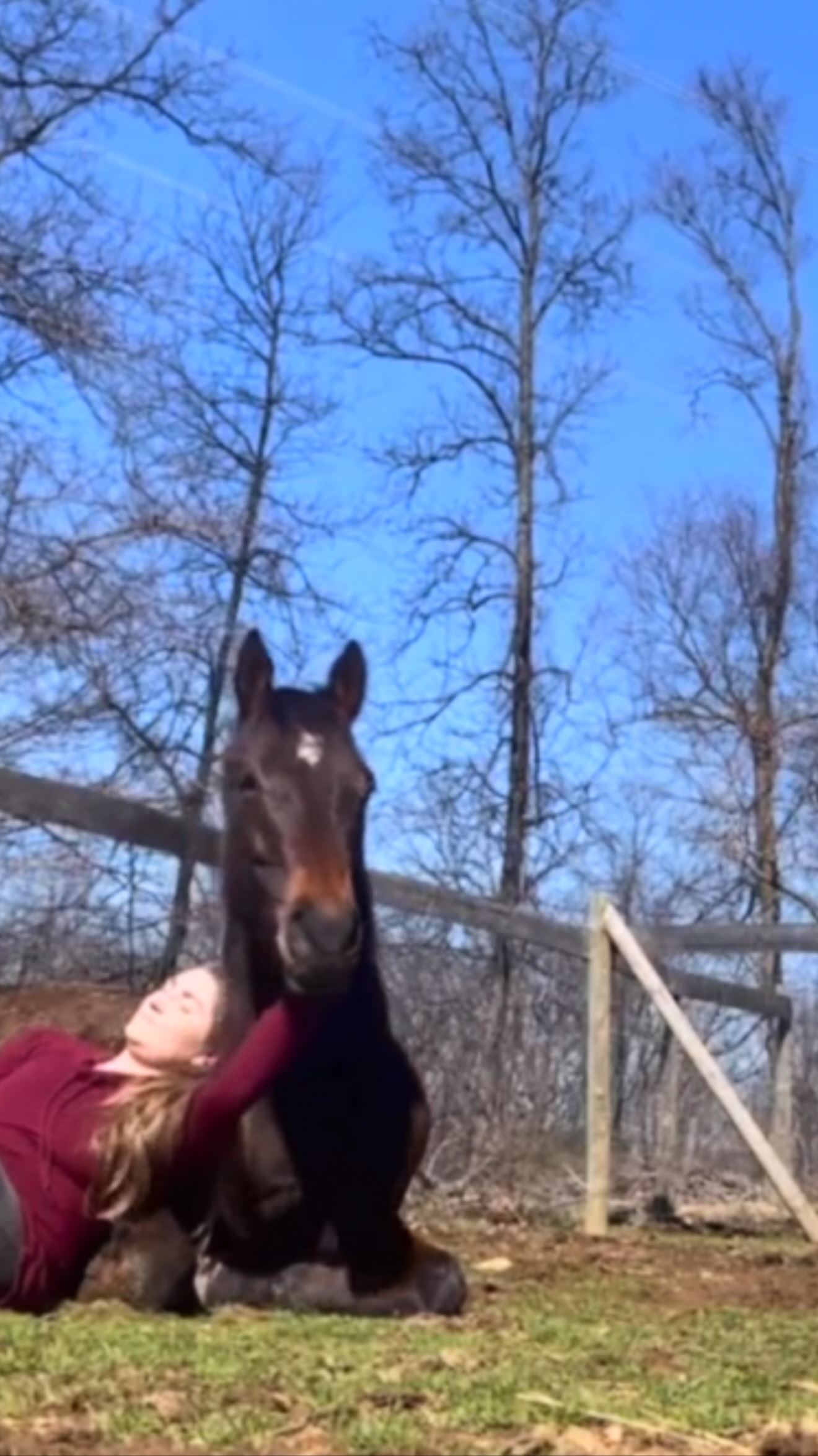 To the horse that loves me at my lowest, I love you more than I can put into words. We are going through it bud, but we atleast have eachother. I love you so much my Jersey boy. Thank you for hanging in there, I know you’re doing it for me. You’re my hero, my best friend, and the ultimate love of my life sweet boy. Never forget how loved you are.
#myJerseyBoy #horsesoulmate #fuckcancer🎗️