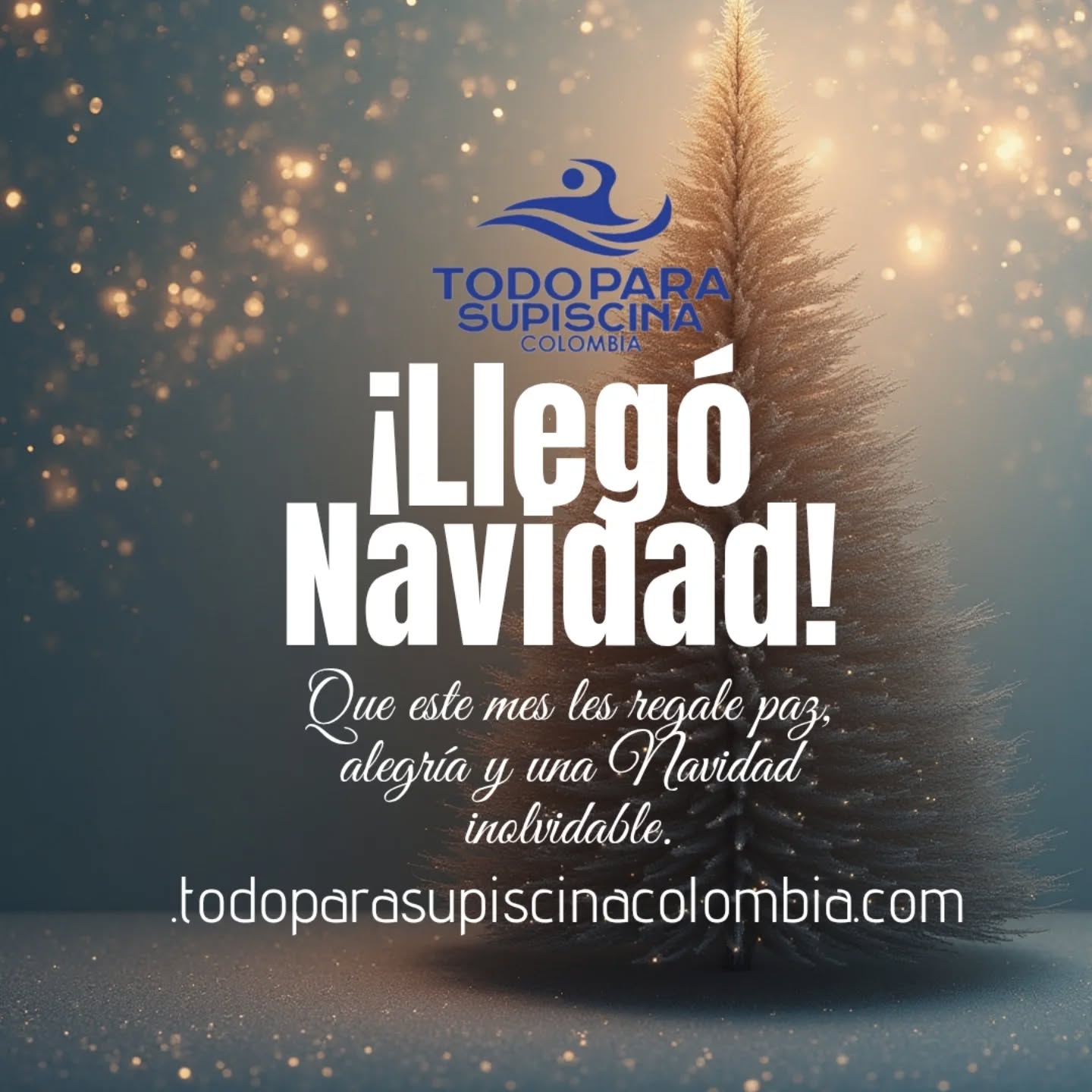 ✨ Diciembre llegó ✨
En Todo Para Su Piscina Colombia recibimos este mes con gratitud y entusiasmo. Agradecemos la confianza de nuestros clientes y aliados durante todo el año, y renovamos nuestro compromiso de seguir brindando un servicio responsable, dedicado y con la mejor calidad.
Que diciembre nos traiga unión, nuevas oportunidades y la satisfacción del deber cumplido.
Deseamos que la paz, la salud y la prosperidad acompañen sus hogares y que el próximo año sigamos construyendo juntos grandes resultados.