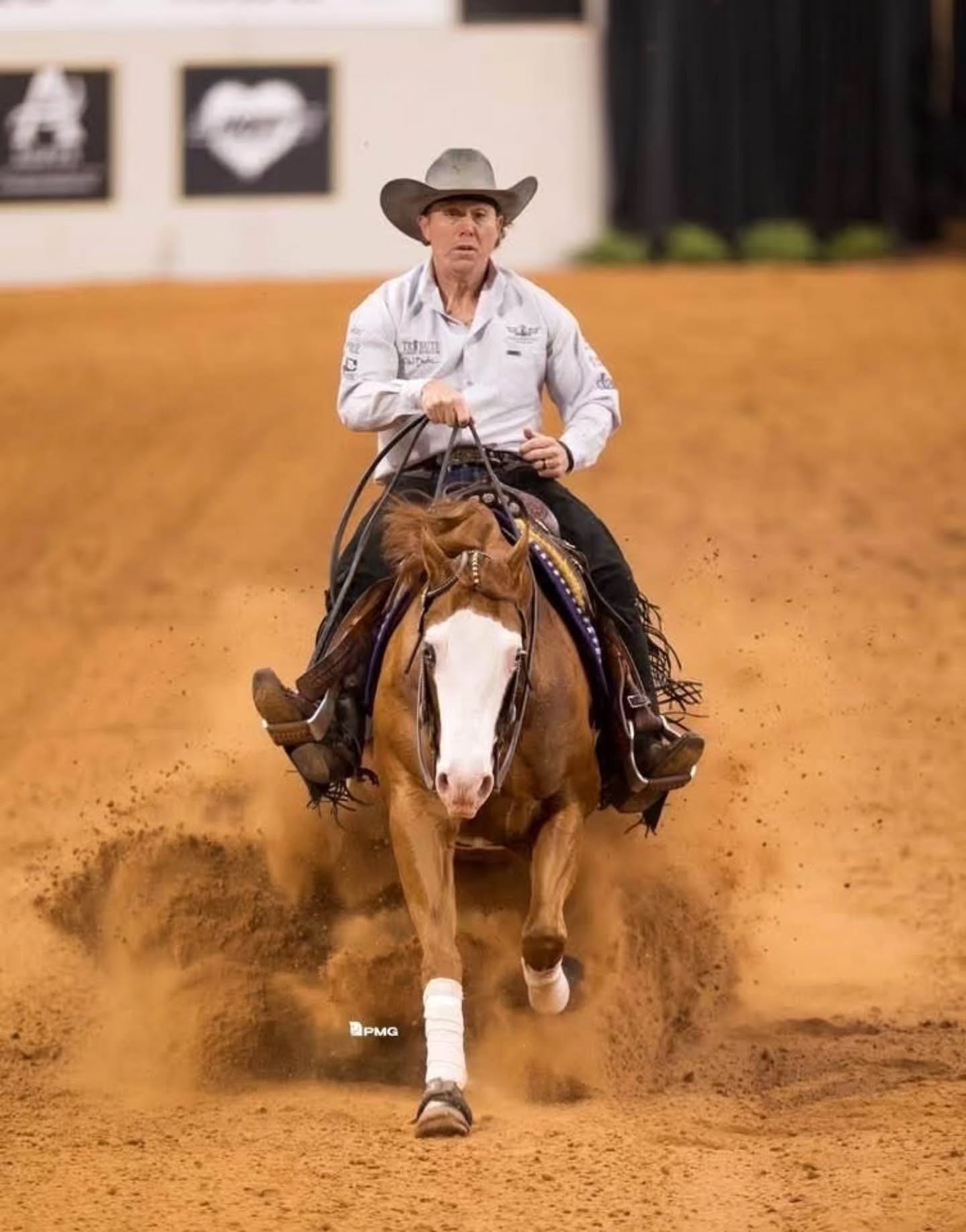 The legacy of THE KIDS GOTTA GUN keeps building ✨
We’re rooting for Draw 41 • This Kids Not Ruf & Matt Palmer in the NRHA Futurity Level 3 & 4 Semi-Finals
From proven earners to rising stars, his foals continue to show up—and show off—on the biggest stages.
#thekidsgottagun #stallions #breeding breedingseason reining reiners santahillranch reels horses nrhafuturity nrha palmerperformancehorses