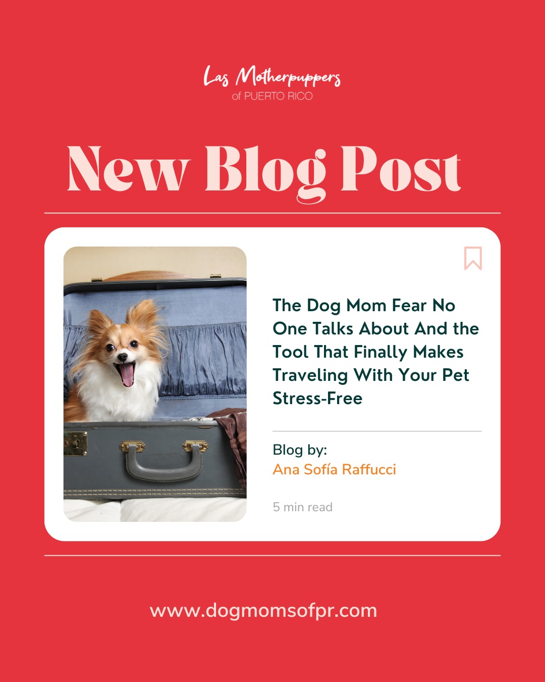 New blog alert, dog moms & cat moms! 📖✨ Si viajar con tu fur baby te da ansiedad… you’re not alone. Pero hay una forma más fácil de hacerlo: PadsPass @digitalpetpassport 🧡🐾
Con el Pet ID gratis de PadsPass tienes todos los documentos de salud de tu mascota + microchip, organizados y listos in one place — sin papeles, sin estrés, sin “¿dónde está el certificado?”.
Y si haces el upgrade pago al Digital Pet Passport hoy, viajas tranquila knowing que estás 100% compliant con documentos verificados y check lists para: 🇺🇸 USA 🇵🇷 Puerto Rico 🇧🇲 Bermuda 🇨🇦 Canadá …y más destinos coming in 2026 👀✈️
Si sueñas con viajar con tu pet...¡Este blog es para ti!
📲 Download PadsPass, upgrade, y empieza a planificar stress-free. Conoce más en: www.padspass.com
#PadsPass #PetTravelMadeEasy #TravelingWithPets #DogMomLife #CatMomLife #PetPassport #MotherpuppersApproved #dogmomsofpr #lasmotherpuppers #puertorico #dogsofpuertorico