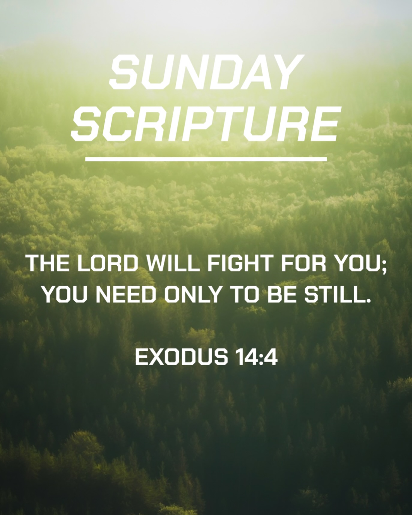 Have a blessed Sunday everyone!
.
.
.
#sundayscripture #exodus1414
