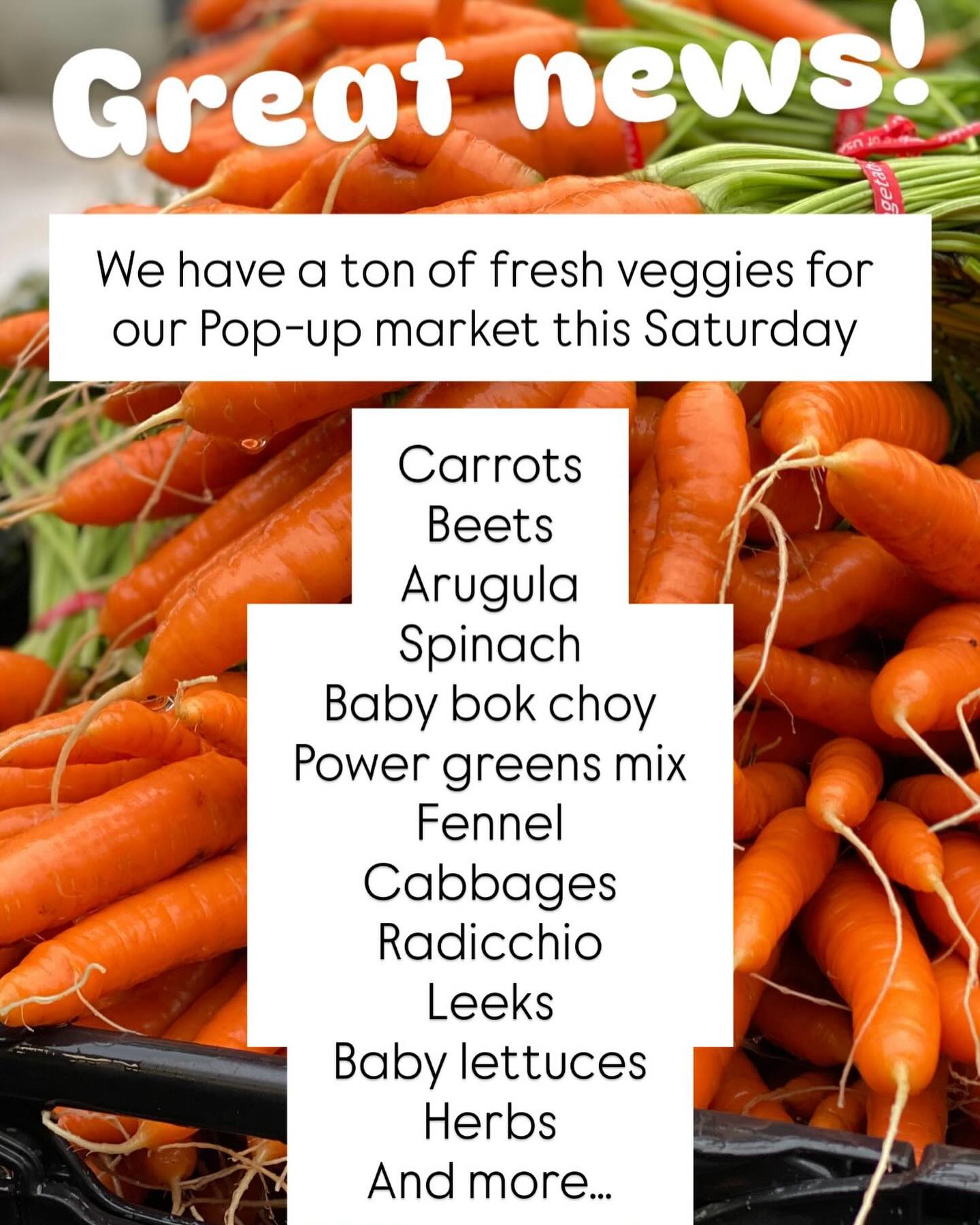 POP UP MARKET THIS SATURDAY 10am-2pm, at our farm.
Find us on your mapping app by entering “Slice of Heaven Farm”
So many vegetables, ferments, maple syrup and baked goods!
See you Saturday! It will be sunny too!