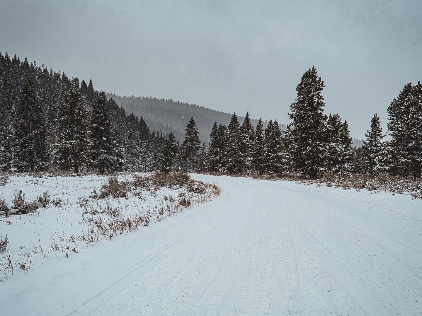 Next up in this Montana Christmas adventure…cut down the Christmas tree 🌲 This is something Matt and I do every year. It’s also something my parents did with my sister and I when we were kids (but haven’t done since we moved out). A beautiful snowy drive to our favorite spot…success!