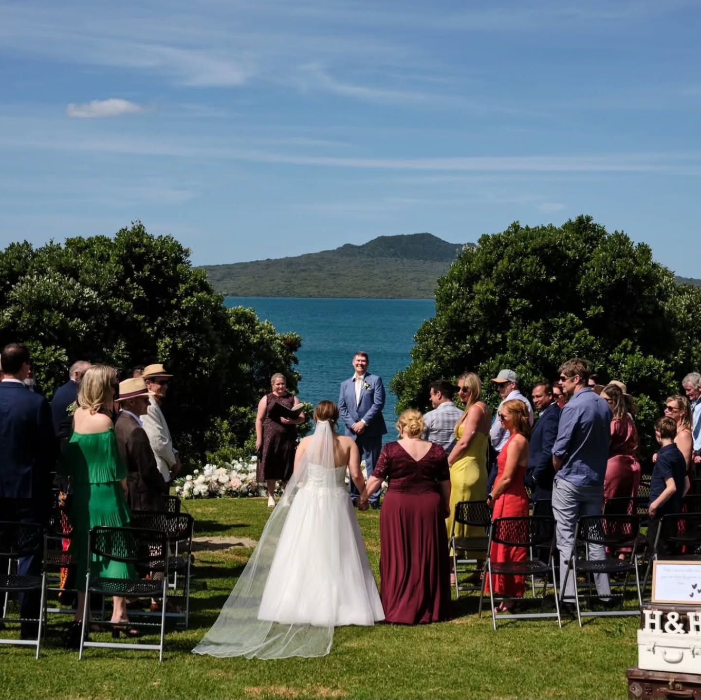 Such joy when the Pohutukawa's come out to play.