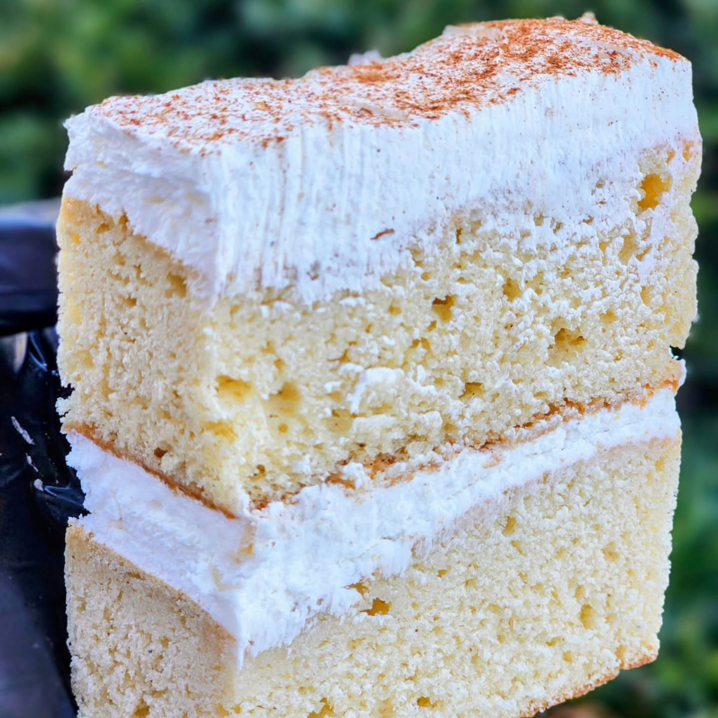 Instagram missed this yesterday, so there will be 2 days in one on Instagram, today only!!!
✨️ It’s officially the sweetest time of the year! ✨
Today kicks off Serene’s Sweet Spot’s 12 Days of Christmas, and I’m so excited to celebrate with you!
Every day, I’ll be sharing something festive, new treats, behind-the-scenes moments, holiday tips, giveaways, and a few surprises I’ve been saving just for you.
Let’s make this season delicious together. 💛🎄
Stay tuned… Day 1 starts NOW!
So for Day 1 of my 12 Days of Christmas, I had to start with a slice inspired by home. My Coquito Cake.
Moist, creamy, coconut-rich, and full of warm spice… it’s the taste of tradition with a Sweet Spot twist.
What holiday flavor reminds you of home during this season? ✨