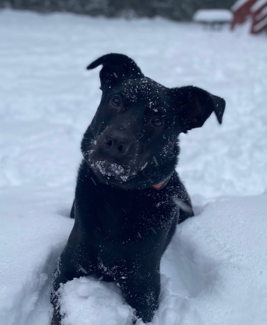 sundayriverrealestate