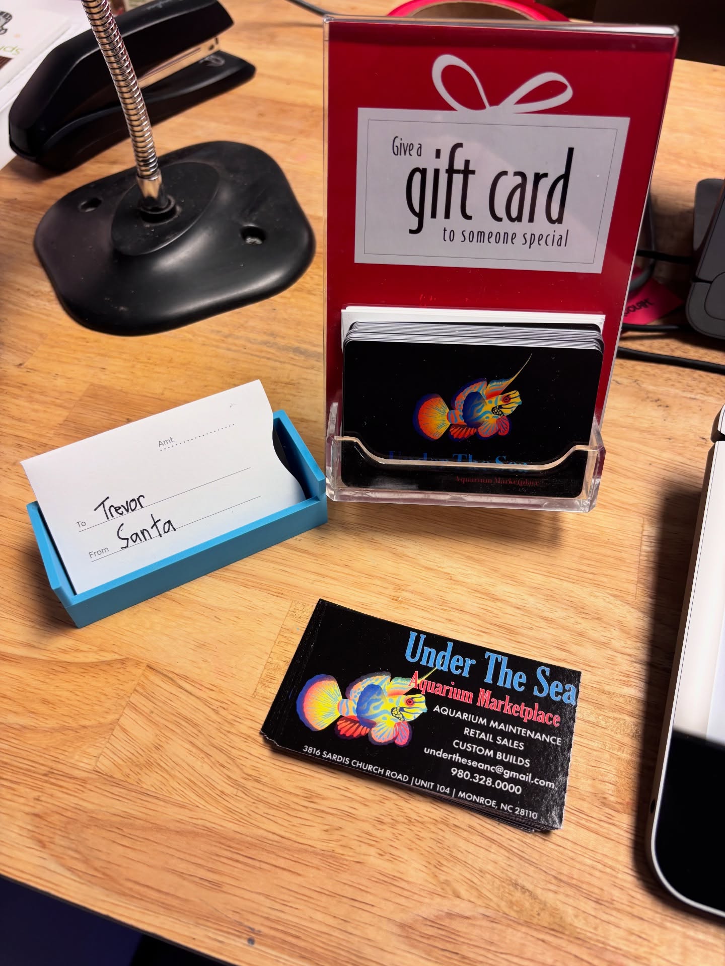 ✨ Give the gift that always fits! An Under The Sea gift card!
Whether they love corals, plants, fish, or just browsing the store for inspiration, a little holiday magic goes a long way.
🎁 Gift cards available in any amount
🎅 Perfect stocking stuffer
🐠 Guaranteed to make any aquarium lover smile
Stop by and grab one for someone special this season!
.
.
.
.
Under The Sea
📍 3816 Sardis Church Rd, Monroe, NC 28110
📞 (980) 328-0000
🕒 Tuesday–Saturday: 11AM – 6PM
Sunday: 12PM – 5PM
Closed Monday
🔗 https://undertheseanc.com
#UnderTheSeaNC #AquariumLife #SummerVibes #OceanInYourHome #AquariumMaintenance #ReefTank #SaltwaterAquarium #CoralReef #Aquascape #FishTankGoals #reeftank #saltwateraquarium #coralreef #aquariumhobby #aquascape #reefaddict #tropicalfish #aquariumlife #fishtank #coral #reefaquarium #plantedtank #fishkeeping #aquariumsofinstagram