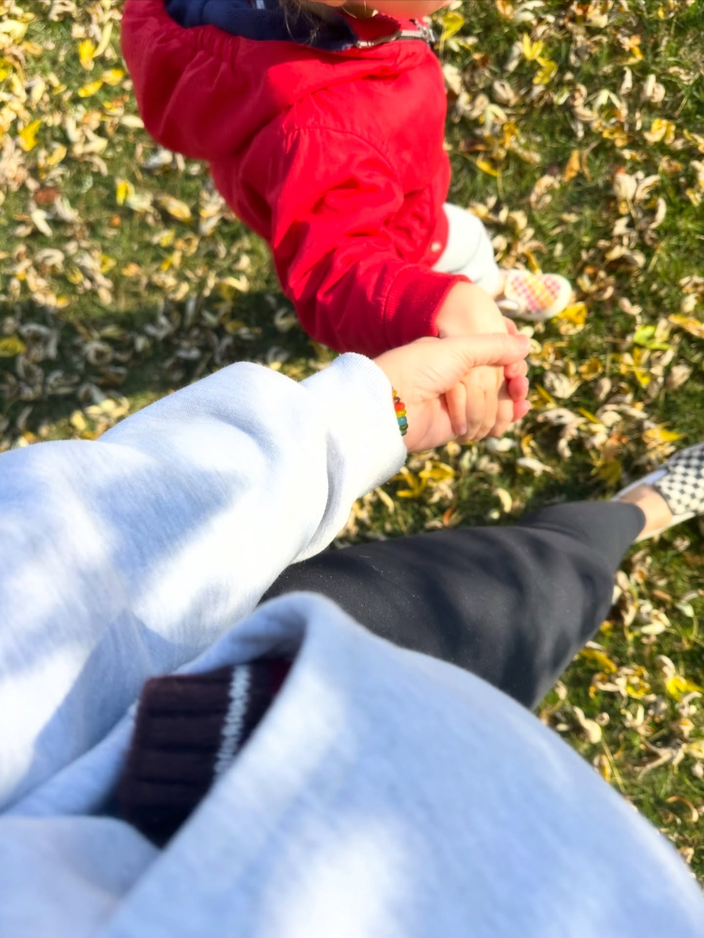 🫶🏼🍁november snaps to remember the love, adventures & chaos, always
.
1. tiniest hands, matching vans 🏁
2. traditions🕯️
3. tfw your favorite neighborhood tree shows off 🍂
4. spread it like wildfire 🔥
5. podcast date with @erinktrier 🎙️
6. the craziest family resemblance 🥹👼🏼
7. will always stay up for them 🩵🤍💜💚
8. intention release ✨
9. pure joy 🛝
10. an idol irl 📚🐶
11. more family resemblance. bookends 😍👶🏼👦🏻
12. 1125th Joy Bomb 🏥💌
13. a favorite band with my dad 🎁
14. when the best spot reopens @thelittlevillageplaycafe 🧡☕️💎
15. volunteering with the greatest @homegrownbykate
16. and so it begins ❄️
17. vintage treasure 🌈
18. she’s a beaut 🌲
19. slowing down 🌨️
let’s make the last one the best one…bring on december 🧚🏻♀️
.
.
.
.
#alittlesomethingalotoflove #novemberrecap #monthinreview #cactusblossoms #northernlights #miscarriagesupport #miscarriage #pregnancylosscommunity #pregnancyloss #nonprofits #nonprofitorganization #meliorism #davpilkey #aurorahealthcare #littlevillageplaycafe #stoughtonwisconsin #ttccommunity #mkehome #mkemycity #ozaukeefoodalliance #wauwatosa #christmastree #joy