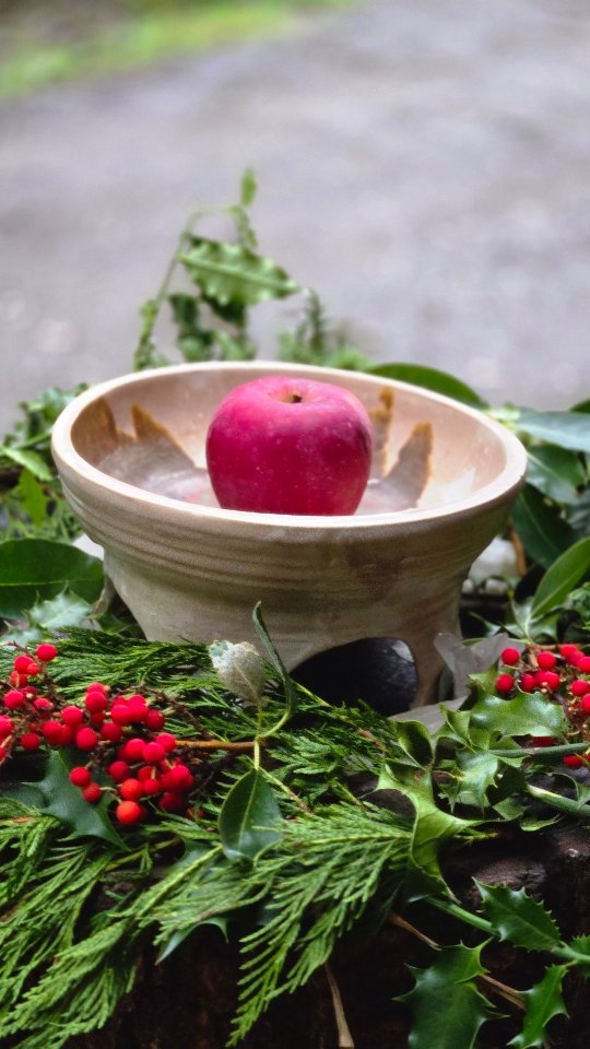 Mabon (Autumn Equinox) is a time of choices.
To let the harvest compost into soil,
or preserve the final hurrah of life for colder days?
.
If you're like me- your fridges, buckets and counter tops are filled with pears, apples, tomatoes and plums patiently awaiting me act.
Chutney, salsa, sauce, leather, lunch boxes?
(but truly please send your favorite recipes I'm daunted by options)
__________
These choices rest upon the Sinking-Sand-of-Time
Decay can be delayed, but not stopped.
Change is inevitable.
.
So I ask you, what time sensitive…
Projects,
Conversations,
Tasks,
Are waiting on your counter?
For this season has but a window of grace
and soon you may be faced with the honest blade of truth.
You have choices to be made.
In my case I believe asking for help is part of this choice.
Enroll others to gather, chop, stir, wash dishes and cackle.
Because Mabon for me is about Many-hands.
So I ask you again what…
Projects,
Conversations,
Tasks,
Could be more enjoyable, efficient with support?
Once you have decided what
to let go and decay, or tend what you wish stay.
Then perhaps inviting in help is next.
~blessed Mabon
Saera
P.s. if your into focussing the collective intent if a group of potent woman and can make it to Salt Spring Island, Spinners of Fate registration is open ♡
TUESDAY 7-9PM,
Ganges Yoga Downtown Salt Spring Island :
Wisdom from the PAST: October 21st
Honesty of the PRESENT: November 4th
Foreshadowing from the FUTURE: November 18th
🧙♀️LOOM DETAILS:
* ̶ ̷1̷3̷ ̷s̷p̷o̷t̷s̷ 5 spots left
* All woman and She/they pronouns welcome
* $120 regular rate
or in x2 payments of (coupon HALFMOON)
#mabon #apples #foodprocessing #autumn #equinox #dehydrator #craft #witch #pear #fruit #harvest