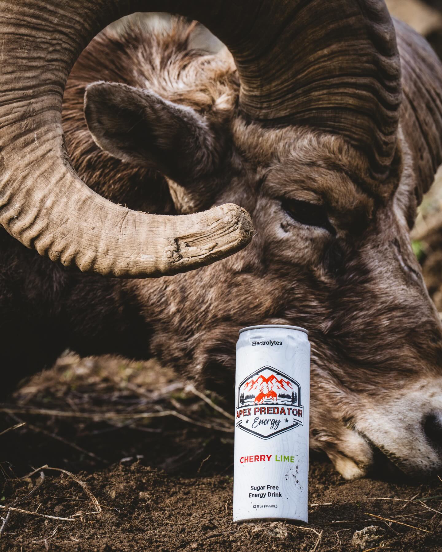 The mountain doesn’t care how tired you are, and nature doesn’t slow down for anyone.
Most days it’ll test every ounce of grit you’ve got.
Apex Predator Energy — designed for those who don’t quit.
#APEXPREDATORENERGY #hunt_az #bowhuntingaz #arizonahunting #elkhunting #muledeerhunting #coueswhitetail #bowhunt #hunting #duckhunting #huntinggear #elk #westernhunting #energydrink #robinsonarchery #rossoutdoors #bullbasinarchery #bighornsheep