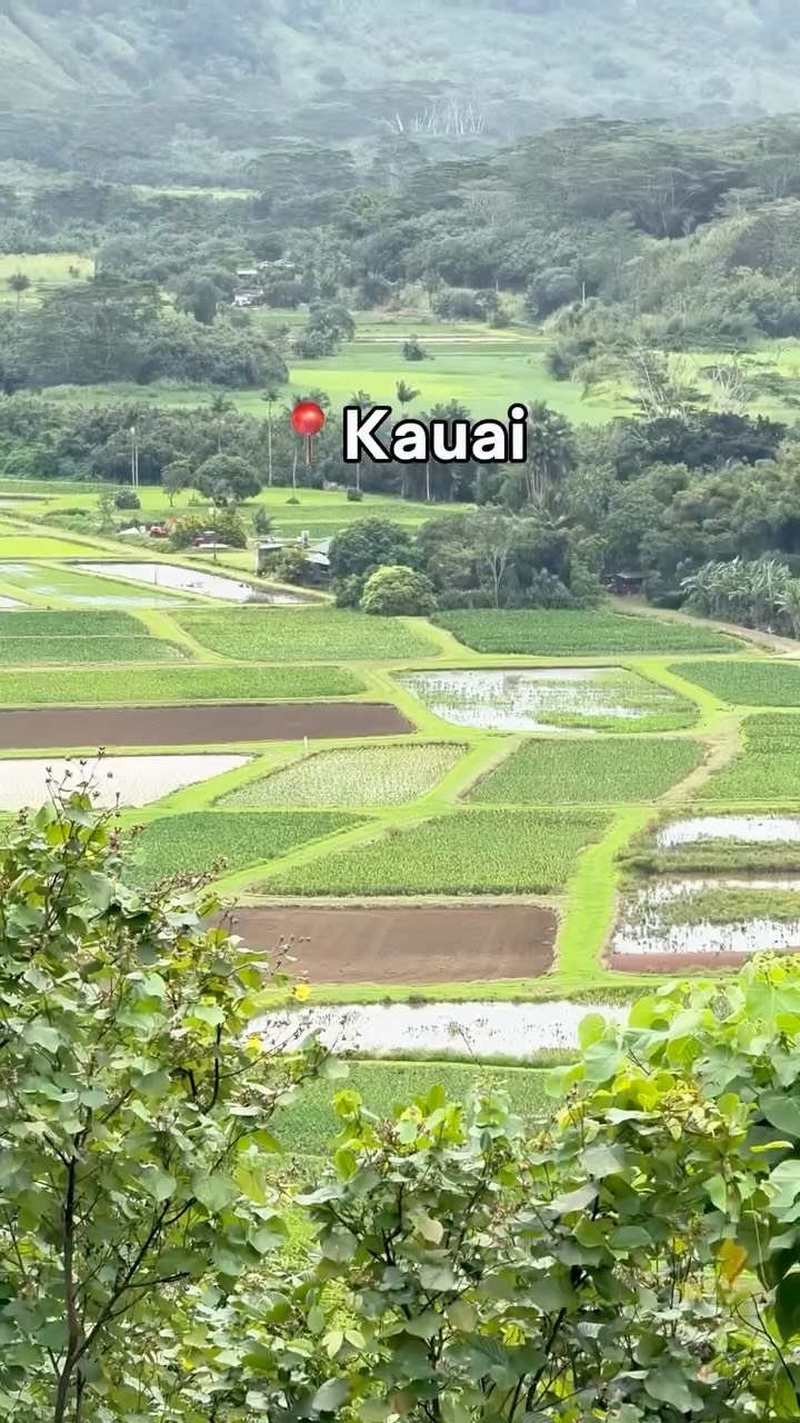 Buy $100 Get $20 FREE! Our Holiday Gift Cards are back!
🎄 www.luanahospitality.com/gift-card-reels 🎄
Purchase a $50 Gift Card and Receive a FREE $10 Promo Card or Purchase a $100 Gift Card and Receive a FREE $20 Promo Card! No expiry on our gift cards and our promo cards are valid all year long from January 1st to December 31st 2026!
Our gift cards are redeemable at all five of our locations:
Huggo’s
On The Rocks
Kai Eats & Drinks
Lava Lava Beach Club – Waikoloa
Lava Lava Beach Club – Kauai
Gift the magic of oceanfront dining with our Luana Hospitality Group gift cards!
Available at our host stands or online (e-gift cards) at:
www.luanahospitality.com/gift-card-reels
#holiday #kona #hawaii #aloha #christmas