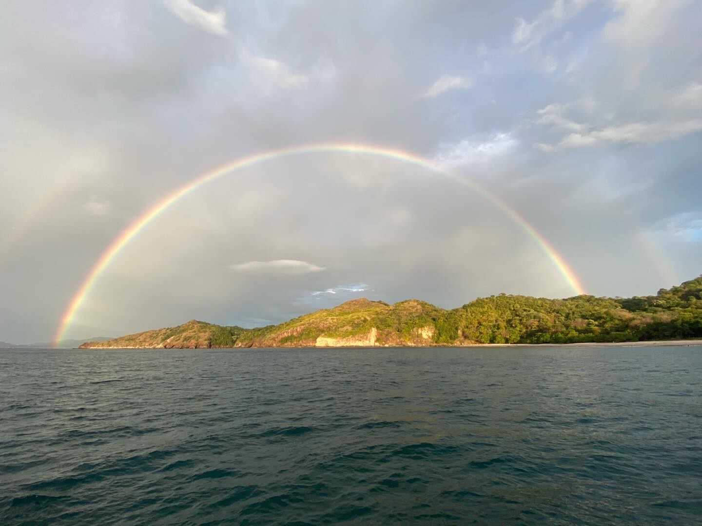 Waiting for second to fully form.
So vibrant!