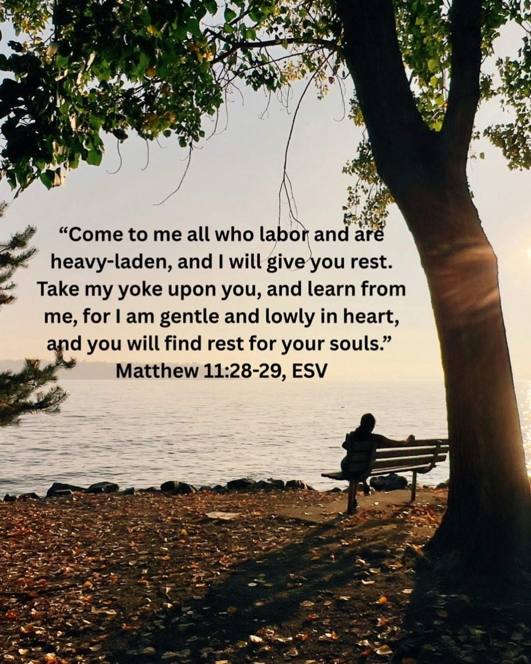 Even in a busy or challenging season, we can find rest for our souls in Jesus. Read more about soul rest in my recent blog post- link in bio💕
#soulrest