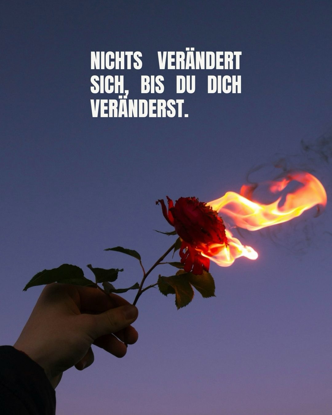 Es gibt Zeiten im Leben, in denen wir spüren, dass etwas nicht mehr zu uns gehört. Nicht aus Schmerz, sondern weil wir uns verändert haben. Ehrlich mit sich zu sein bedeutet manchmal, alte Geschichten loszulassen, die uns lange Halt gegeben haben, uns aber nicht mehr nähren.
Wachstum ist selten laut. Oft beginnt es mit einem stillen Moment, einem Gedanken, der sich richtig anfühlt, einem kleinen Schritt, der plötzlich neuen Raum schafft. Dann sehen wir klarer, wer wir geworden sind und was wir wirklich wollen.
Dieses Jahr hat mich daran erinnert, wie sehr sich das Leben verändert, wenn wir uns selbst zuhören. Wenn wir aufhören, Wege festzuhalten, die längst nicht mehr passen. Wenn wir bereit werden, Neues einzuladen, das größer ist als alles, was wir erwartet hätten.
Genau deshalb liebe ich die Rauhnächte. Sie sind keine Magie im äußeren Sinne, sondern eine Einladung zur Ruhe, zur Klarheit und zu einem bewussten Übergang. Ein Moment, um das Jahr achtsam abzuschließen und dem neuen Jahr mit Ausrichtung zu begegnen.
Wenn du diese Zeit für dich nutzen möchtest, begleite ich dich gern durch die zwölf Nächte. Der Link ist in meiner Bio. 🤍