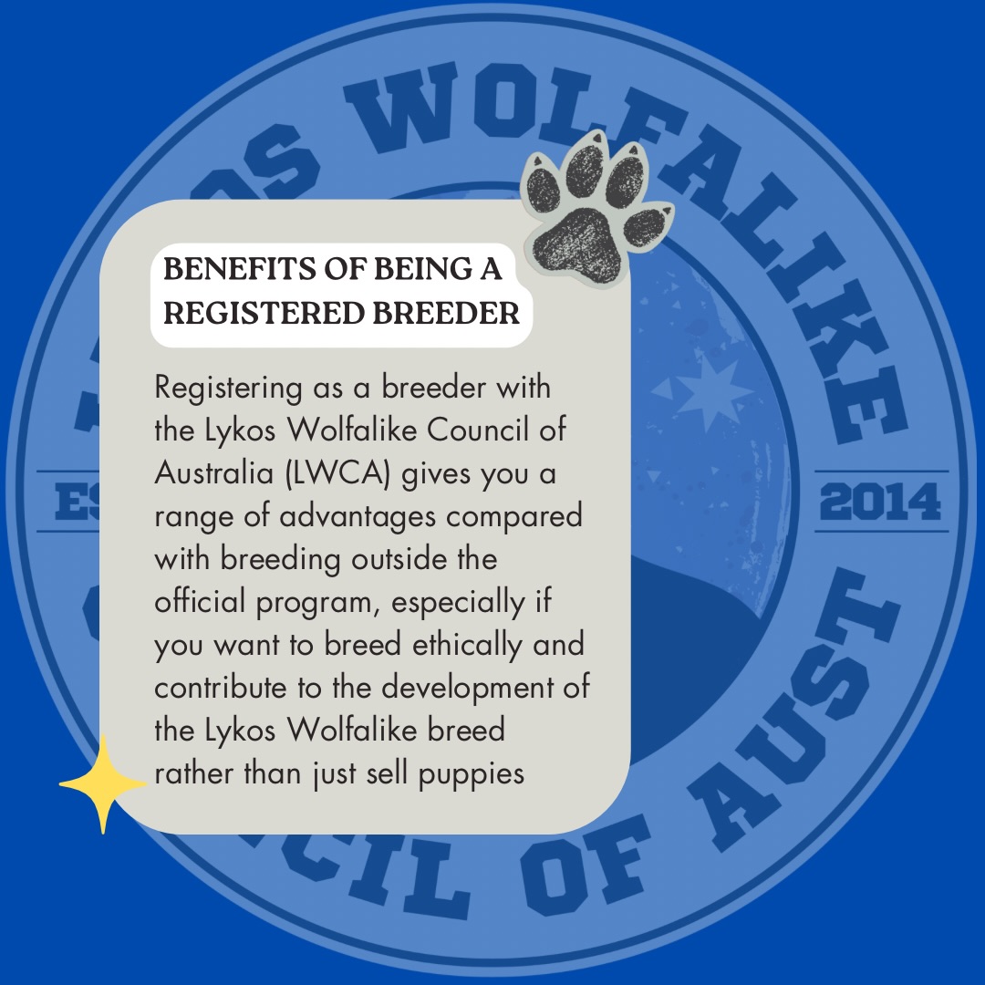 Are you interested in joining our team of dedicated breeders? Here’s why you should 🐾