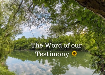 Happy Fun Fact Friday! 🌻
Today’s letter is a scene hot off the press of Revealed Hope.
Our Maddie is telling her testimony for the first time! Do you remember the first time you met Jesus?
Share your moment in one word in the comments below.
#revealedhopebook #revealedbookseries #substacknewsletter