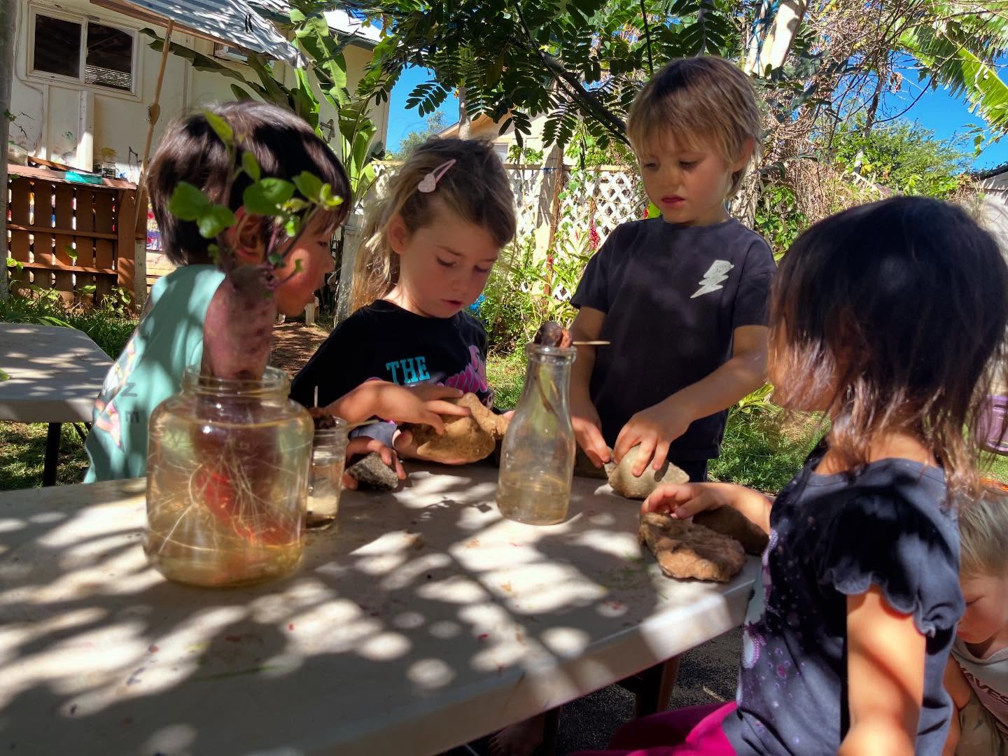 Preschool Enrollment
Now enrolling 🌿
At Ka Hana Pono Daycare & Preschool, keiki ages 2–5 learn through relationship, rhythm, and exploration.
Moments like this — working together, observing closely, sharing materials, and wondering aloud — are how emotional literacy, curiosity, and a sense of belonging take root.
Our days are guided by calm, connection, and nature-based learning, with experienced, consistent teachers supporting the whole child.
• Full-time and part-time enrollment available
• Small group sizes
• Outdoor play, gardening, art, music, and storytelling
• Culturally grounded, relationship-centered care
December and January start dates are available.
December tuition is prorated based on start date.
📲 Call or text: (808) 282-0682
📧 aloha@kahanaponohaleiwa.com
🌿 www.kahanaponohaleiwa.com
Rooted in aloha. Guided by nature. Growing together.