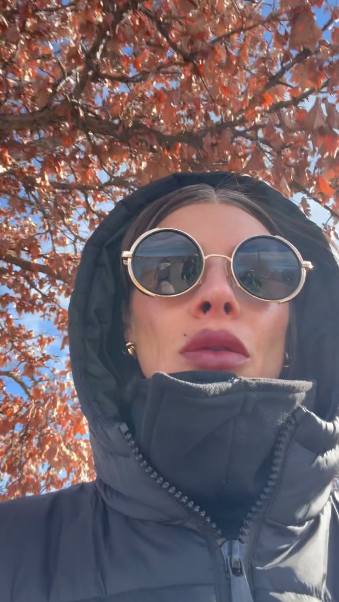 Update videos sent from clients today. You guys rock so hard! Proud of your progress ♥️🥰♥️
#dogtrainingdenver #denverdogs #dogtrainerscolorado #dogtraining #dogsofinstagram