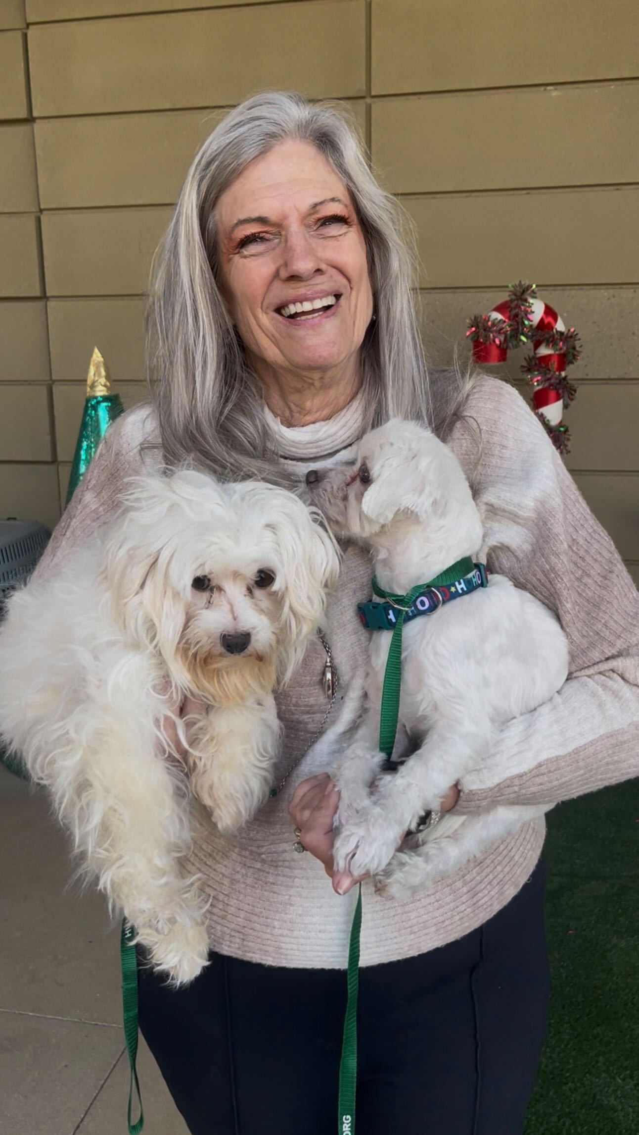 🎄✨ Day 1 of our HSNT Doggy in the Window event at Neiman Marcus Clearfork was pure holiday magic!
So many sweet faces found their way into loving arms❤️
Thank you to everyone who stopped by, shared love, and helped make the first day such a success. We can’t wait for even more holiday cheer today! 🎅🏼🐶
Event details in bio.
#HSNT #DoggyInTheWindow #NeimanMarcusClearfork #AdoptDontShop #RescueDog #ChristmasMagic #HolidayEvent #FortWorthEvents #AdoptLove