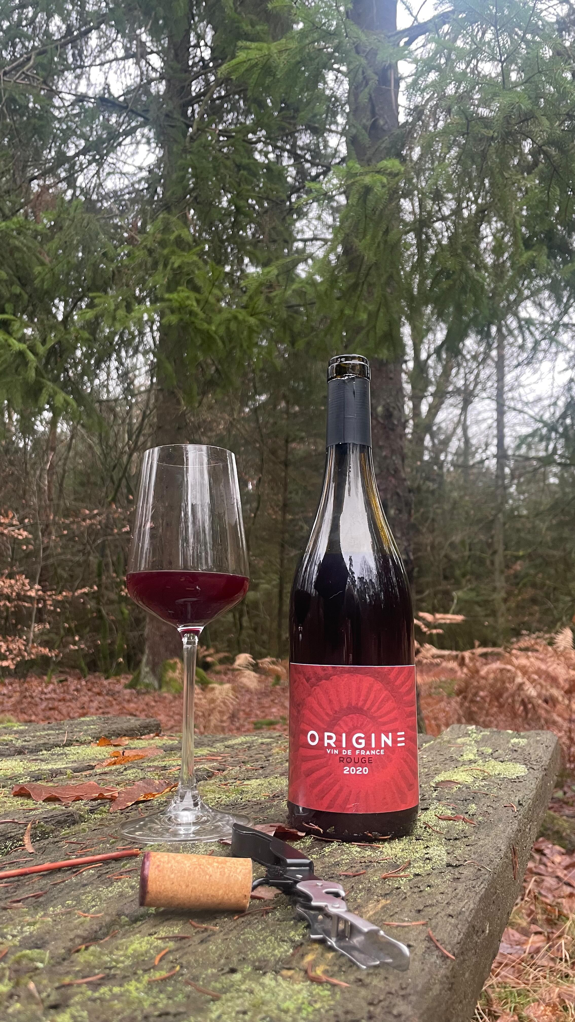 Pourquoi choisir entre rando et vin…
alors que je peux faire les deux ? 🍷🌿#domainefritsch #sentierdesvins #vinrouge #alsacewine