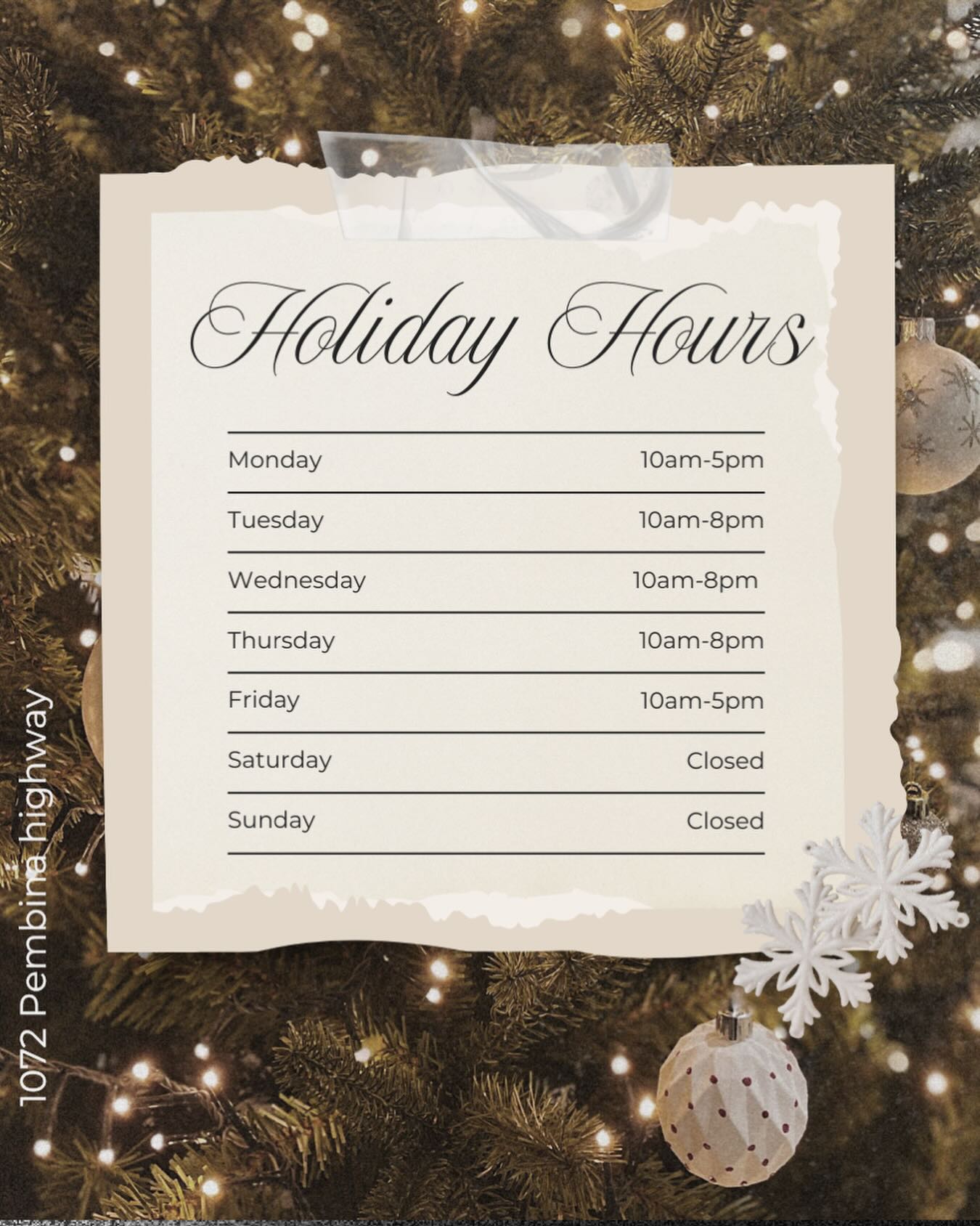 DON’T FORGRT TO BOOK YOUR DECEMBER APPOINTMENT BEFORE ITS TOO LATE! 🌲