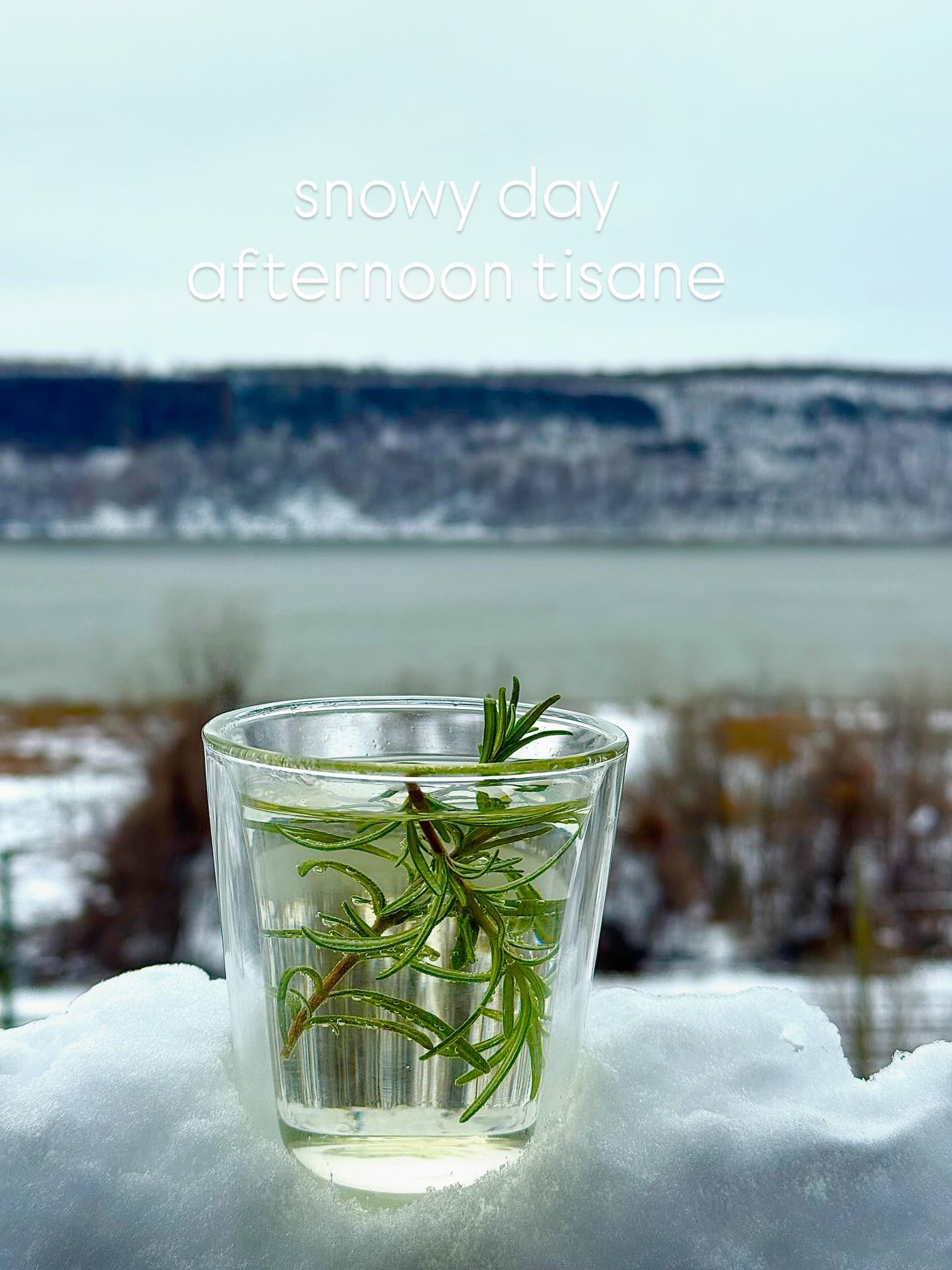 today the Leaves in a Bowl are Rosemary… a medicine for the ancient Egyptians, Greeks & Romans, a symbol of Aphrodite, the Greek Goddess of Almost Everything - love, passion, beauty, prosperity, and so much more #tisane #rosemary #afternoontea #aphrodite #love