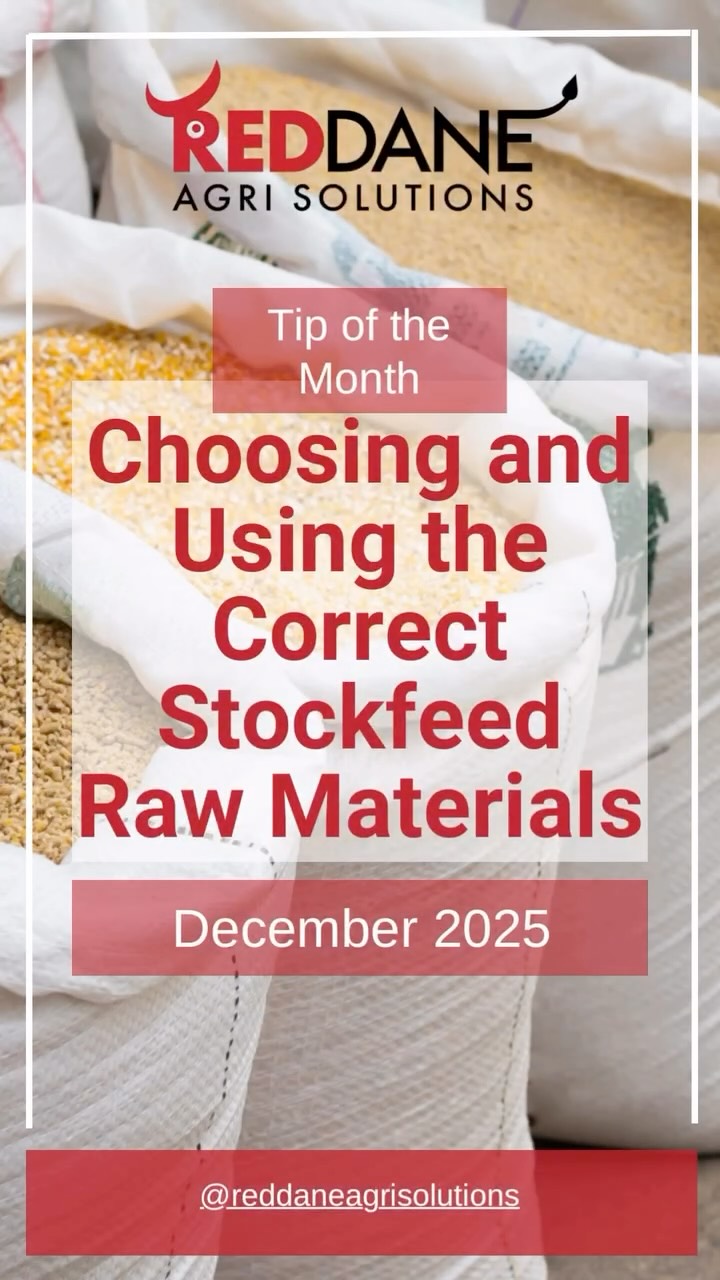 One of the most common problems we see on farms is poor animal performance due to using toxic, rancid, poor quality or incorrect raw materials in home-mixed feed.
- Make sure you check the appearance and smell of your raws before purchasing or mixing
- Ask your feed company to test for microtoxins if you are unsure
- Buy your raws from a reputable supplier
- Store your raws properly
- Use the raws recommended recommended by your nutritionist or indicated by the maxi pack company. If you are unable to procure a raw that has been recommended, consult your nutritionist before interchanging!
#icefeed #zimbabwefarming #livestockfeed #reddaneagrisolutions #wearelivestock